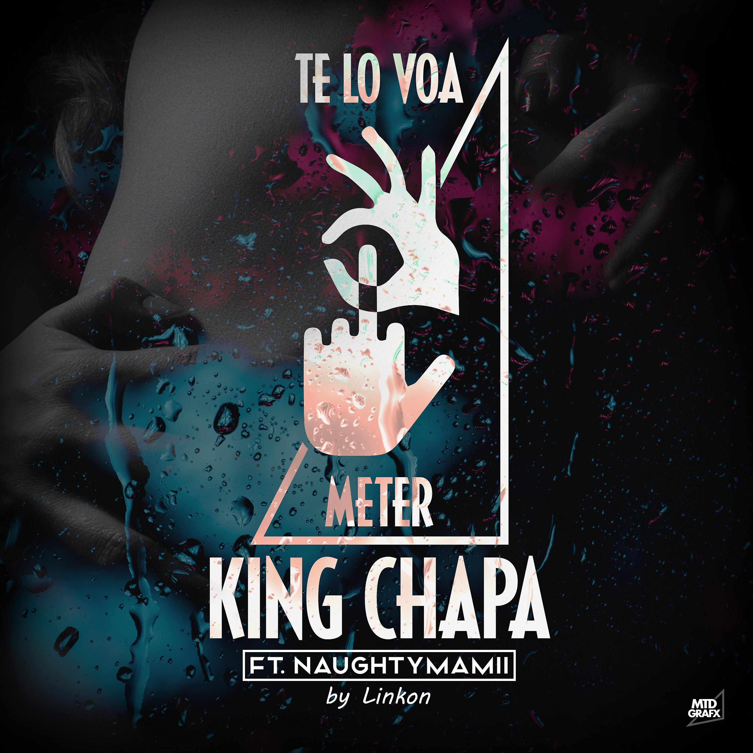Постер альбома Te lo Voa Meter (feat. NaughtyMamii)