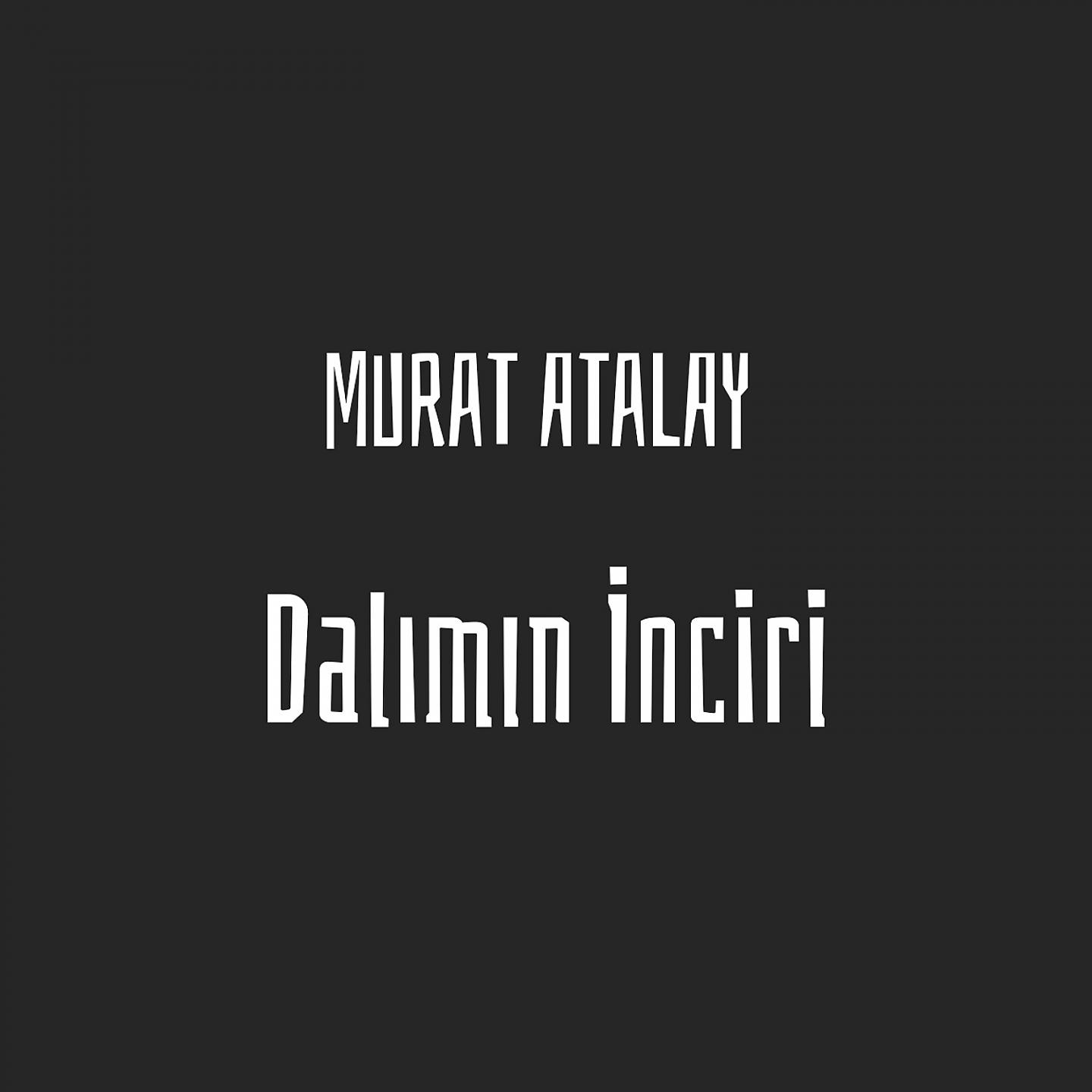 Постер альбома Dalımın İnciri