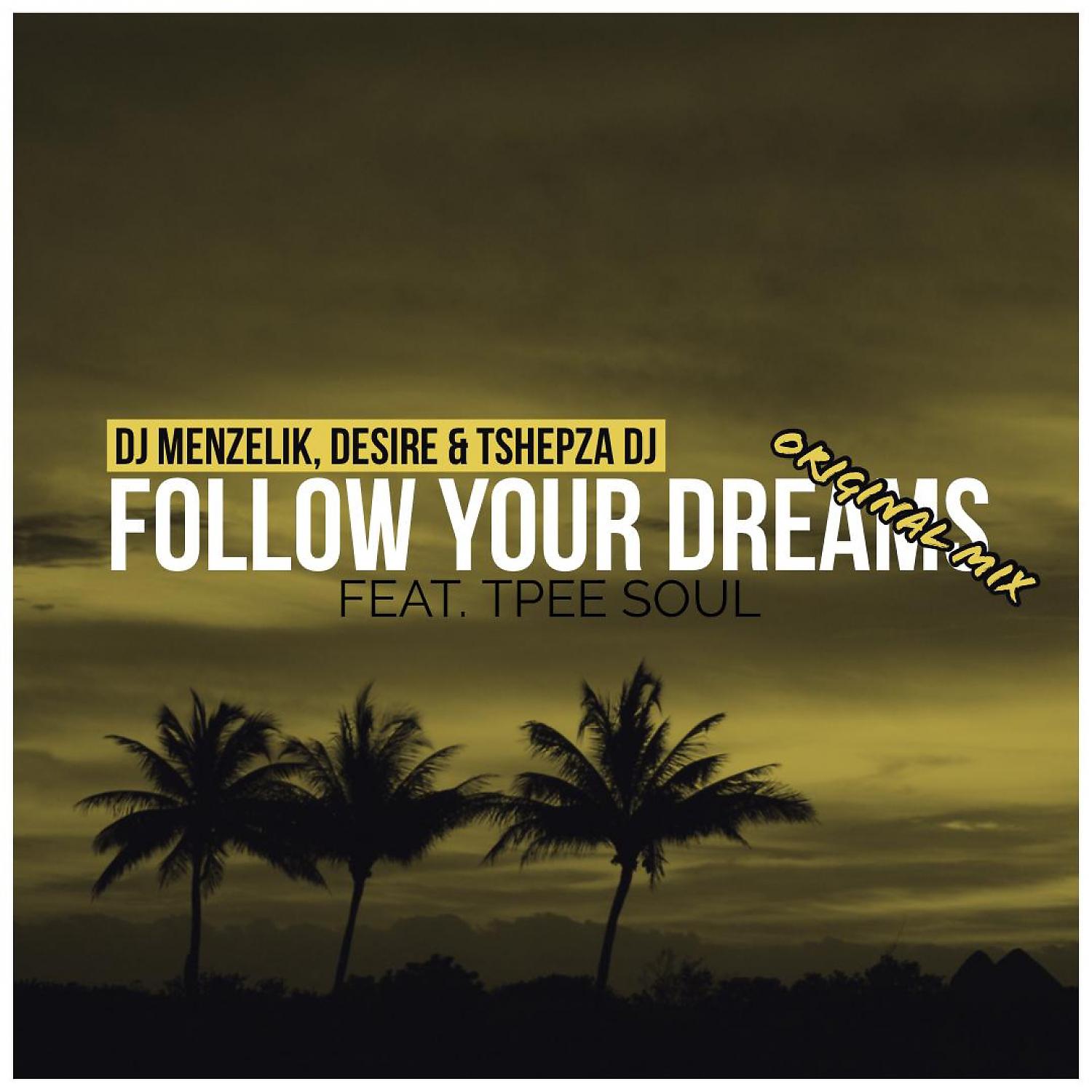 Постер альбома Follow Your Dreams (feat. TshepzaDj & TpeeSoul)