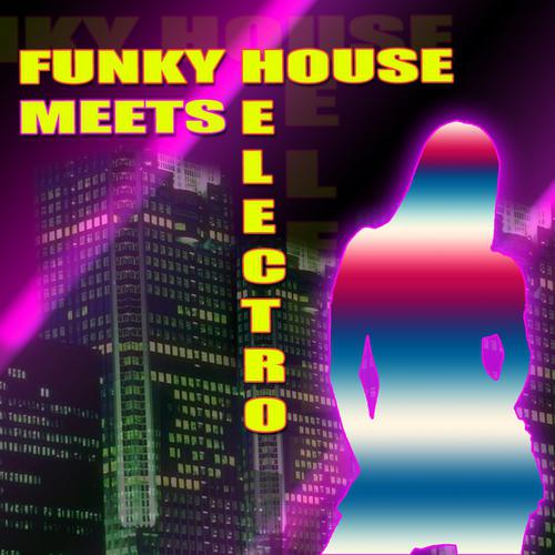 Постер альбома Funky House Meets Electro