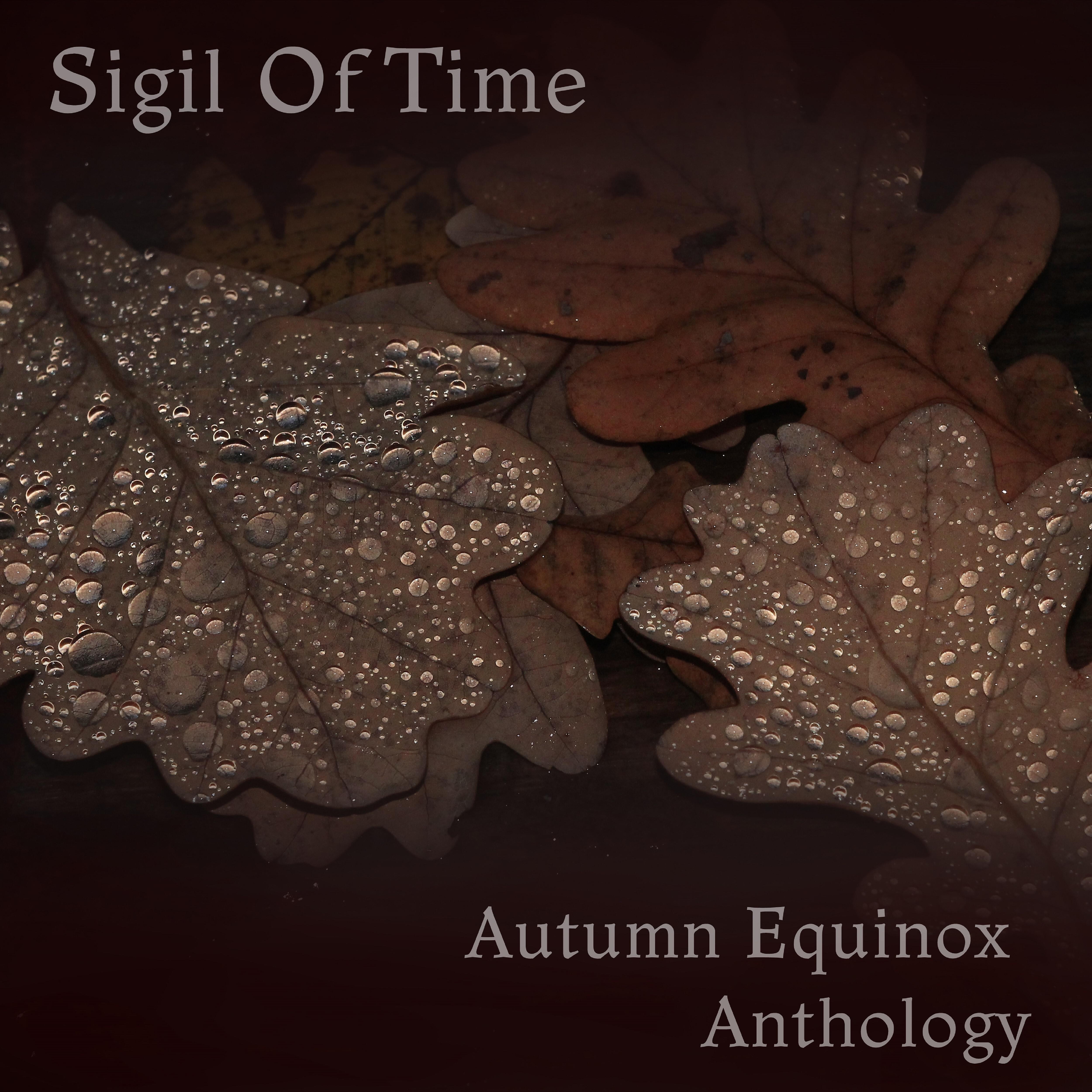 Sigil Of Time - November on the Swamps