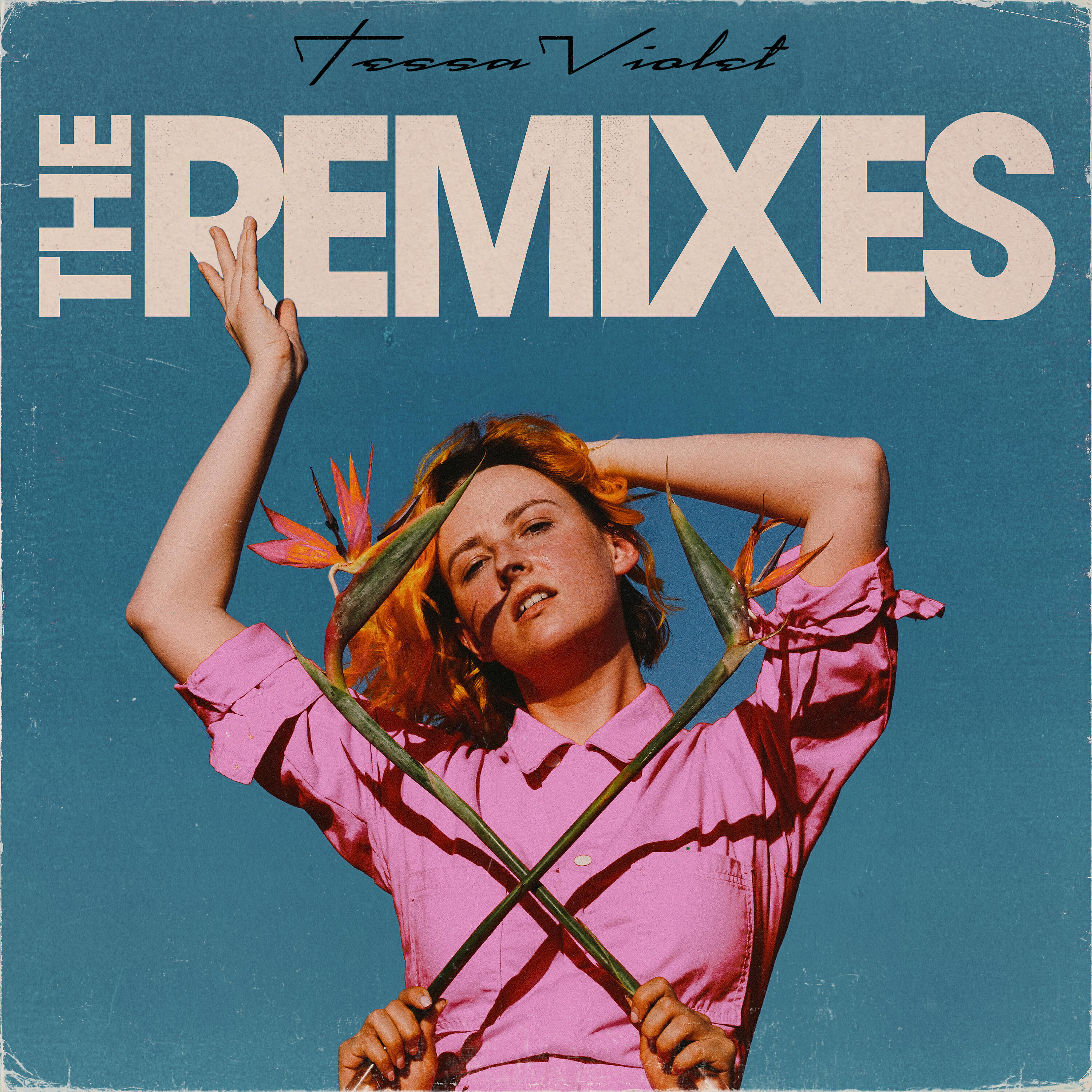 Tessa Violet - I Like (the idea of) You (Viceroy Remix)