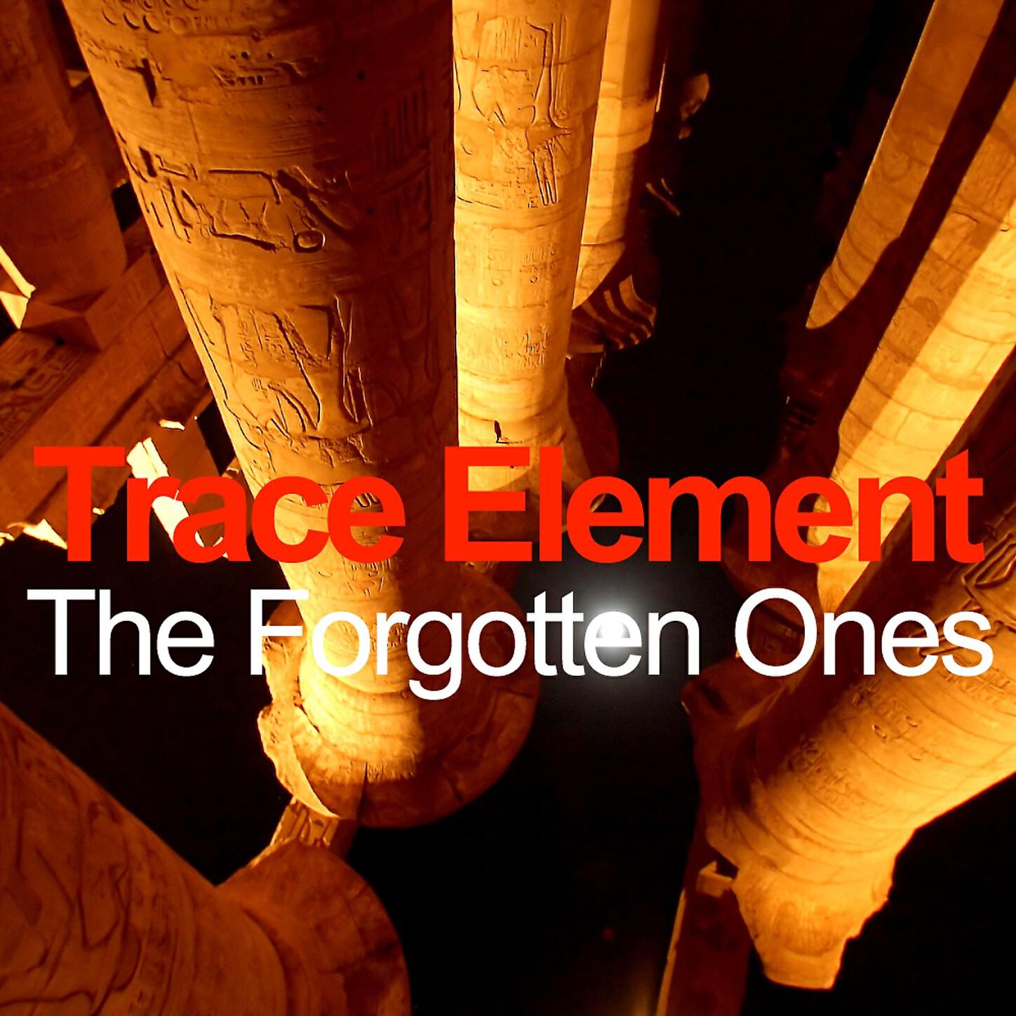 Trace Element - Acoustic (Radio Mix)