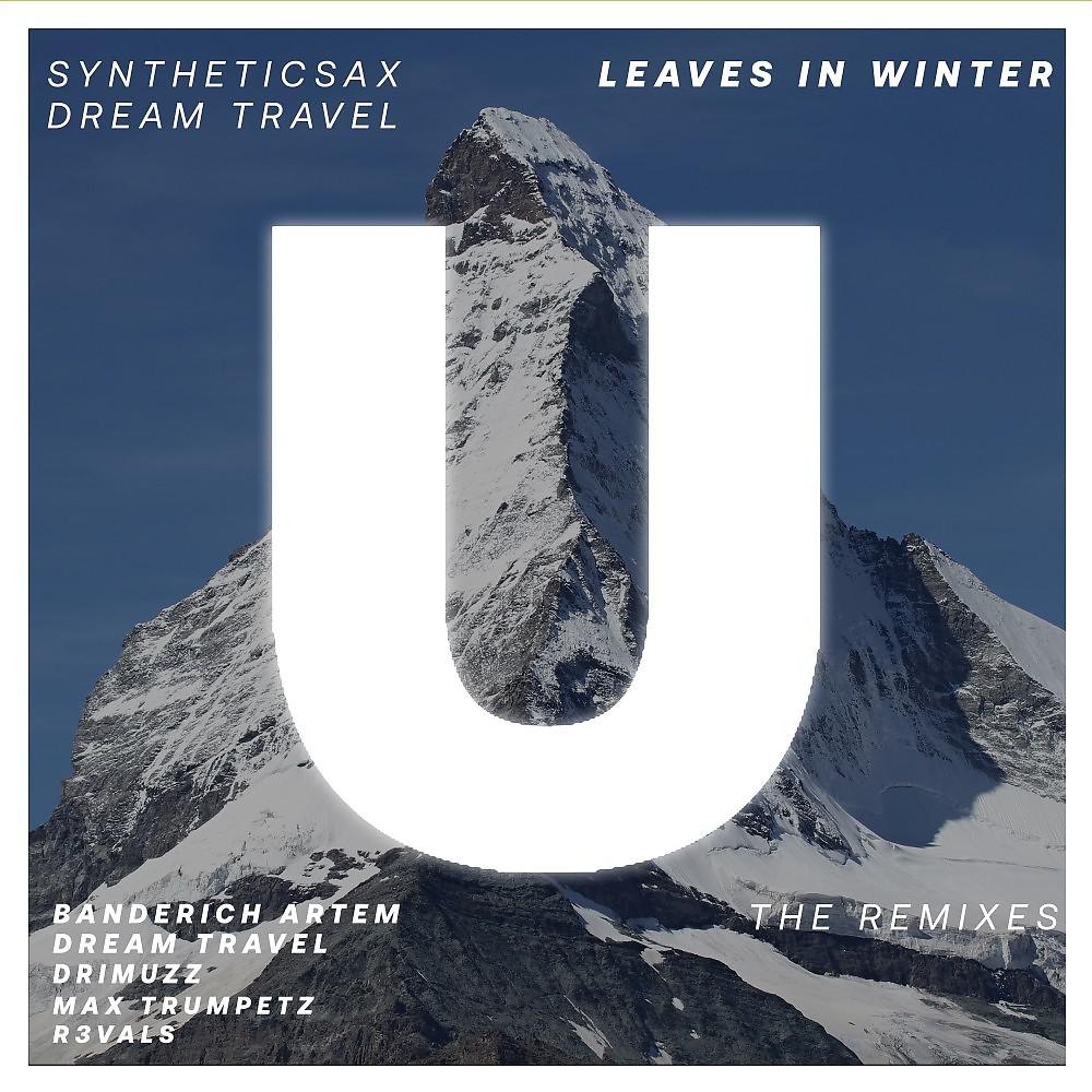 Постер альбома Leaves in Winter (The Remixes)