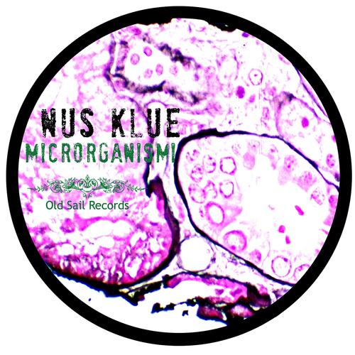 Постер альбома Microrganismi EP
