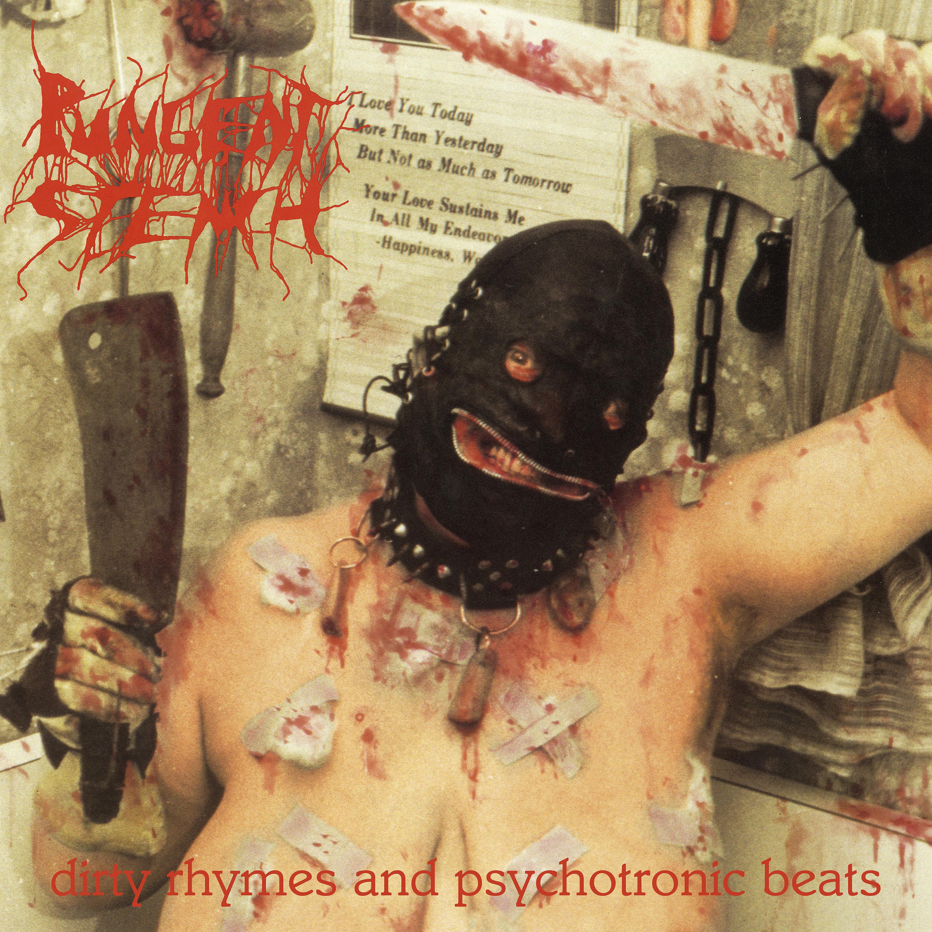 Постер альбома Dirty Rhymes & Psychotronic Beats