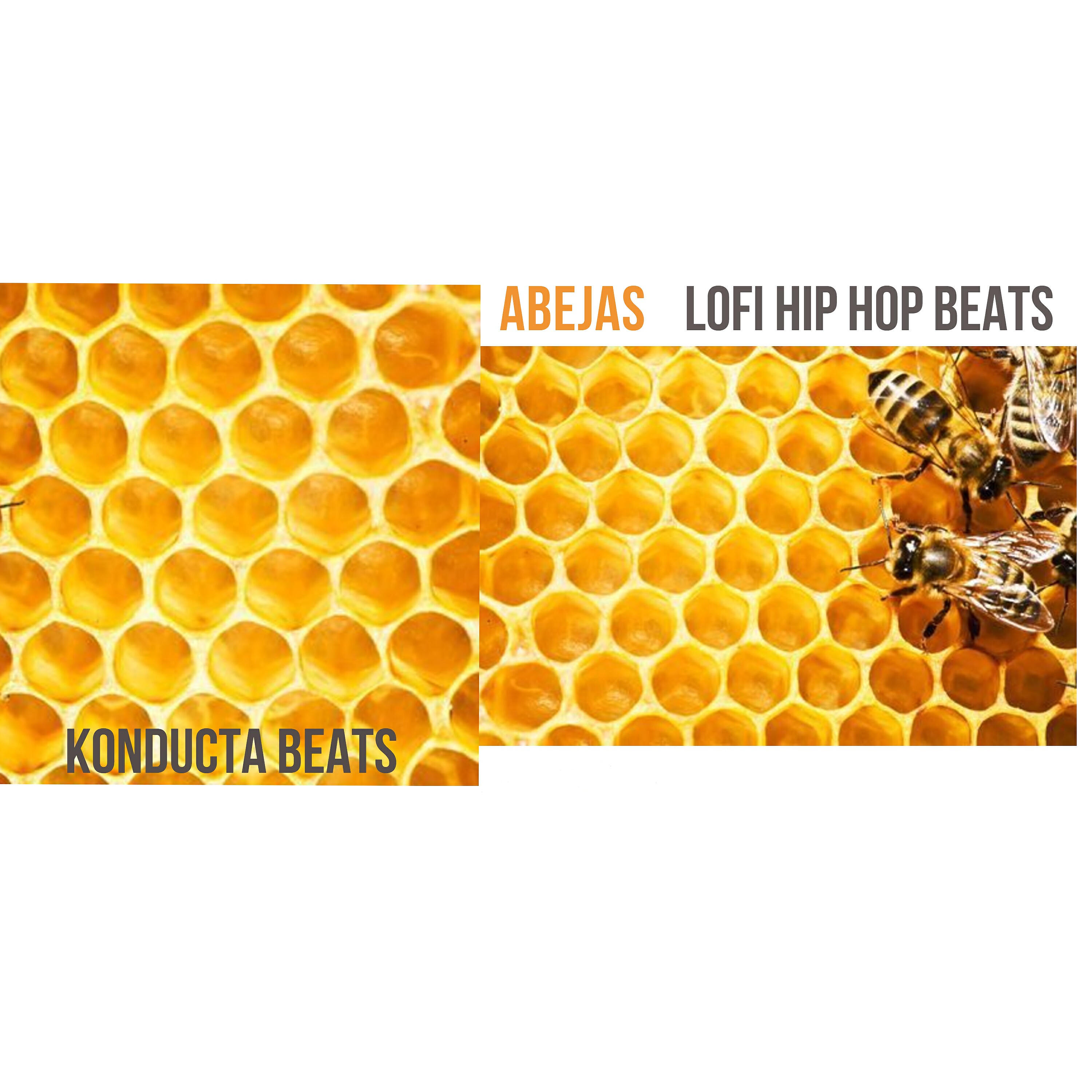 Konducta Beats - Aguijón
