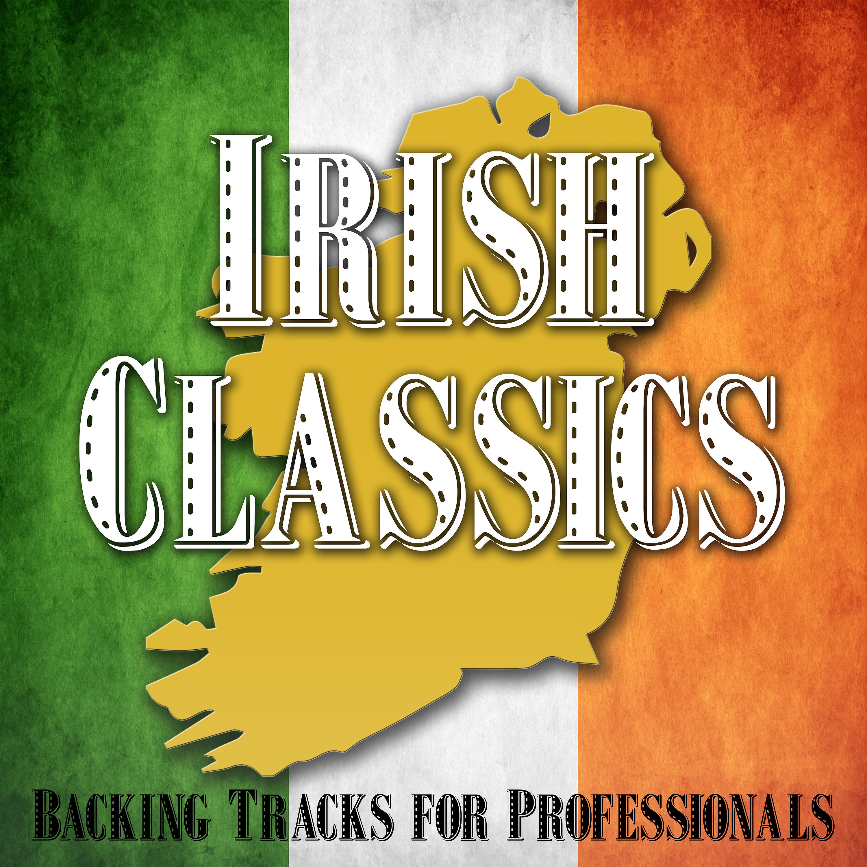 Постер альбома Irish Classics - Backing Tracks for Professionals