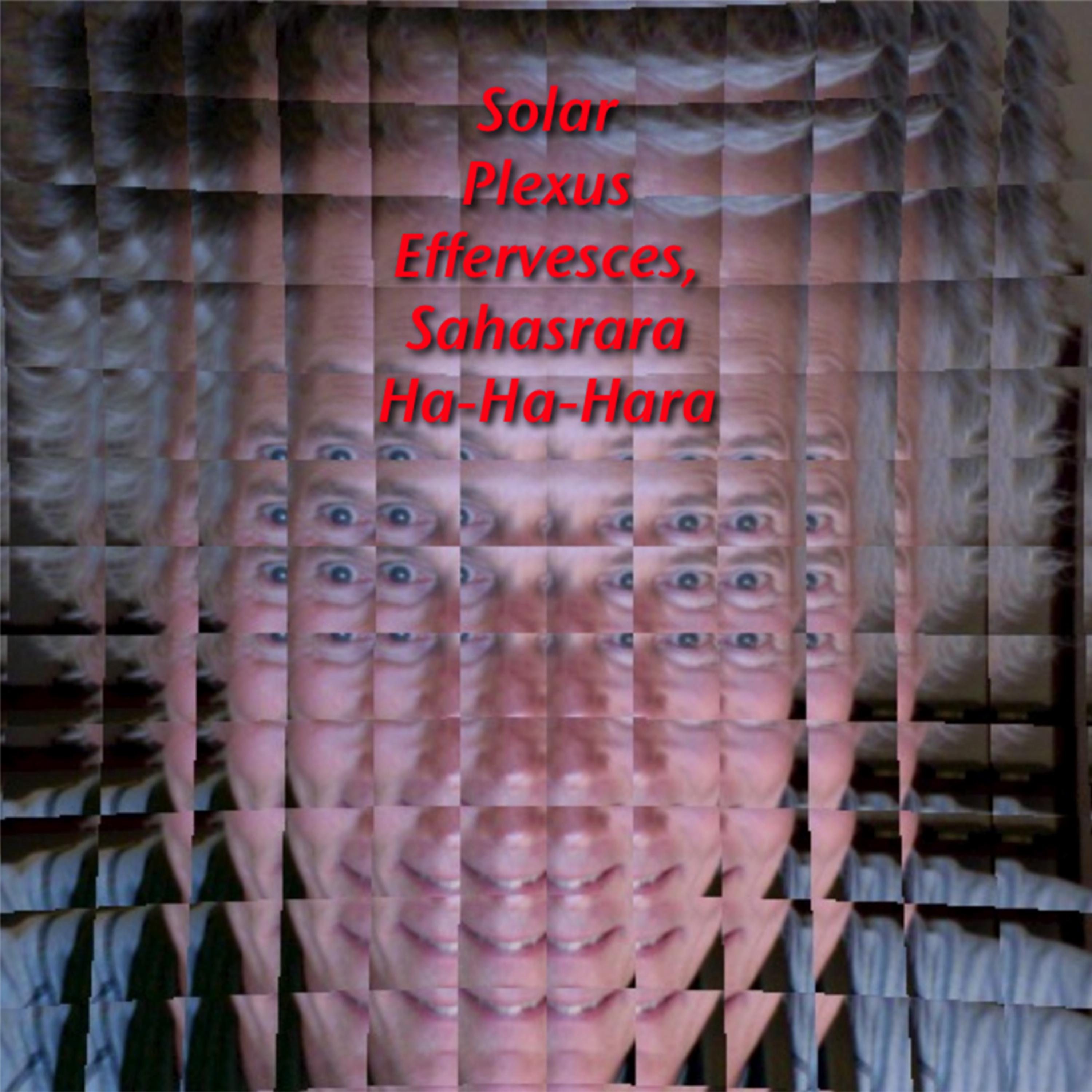 Постер альбома Solar Plexus Effervesces, Sahasrara Ha-Ha-Hara