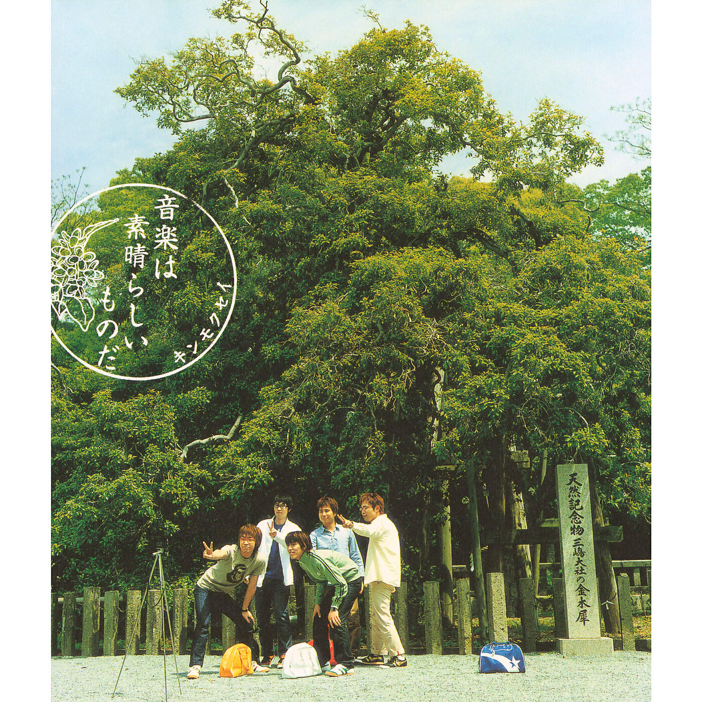 Kinmokusei - Pokka Poka