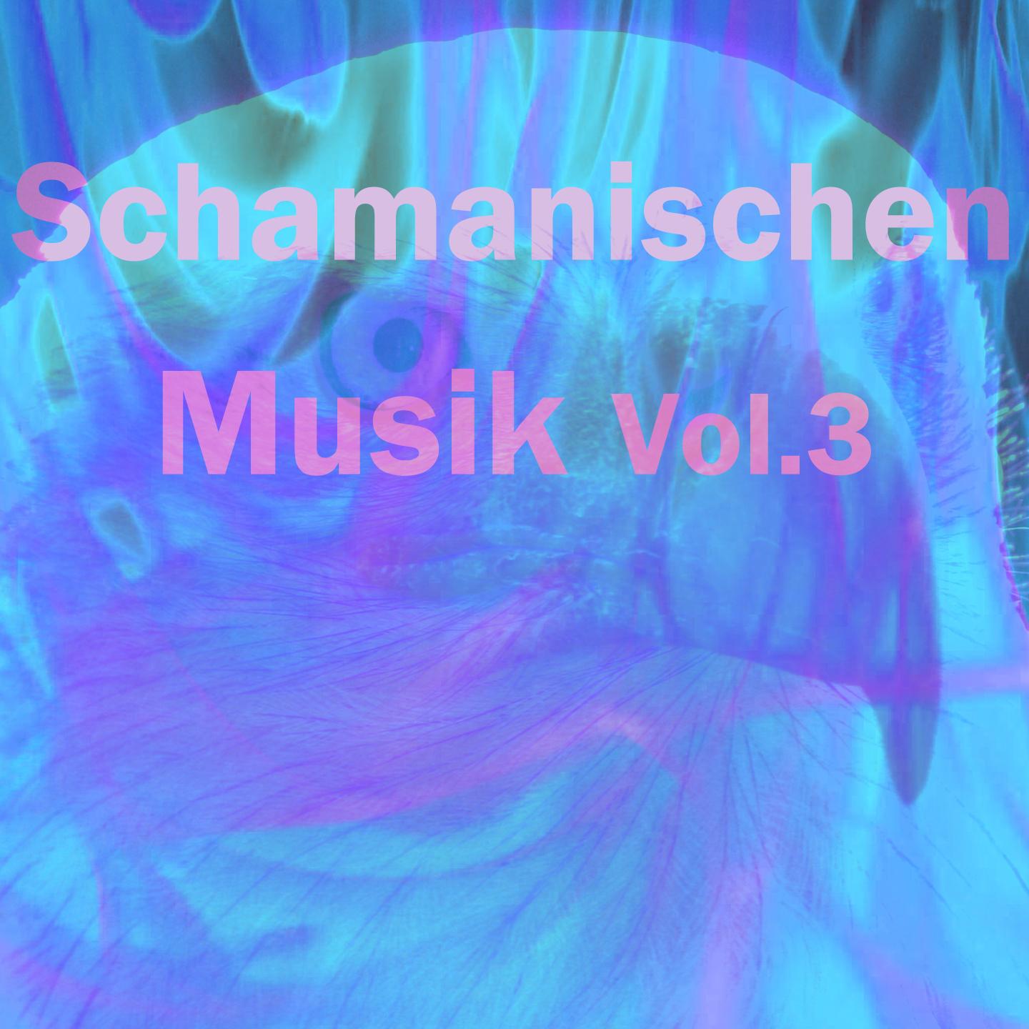 Постер альбома Schamanischen musik, vol. 3