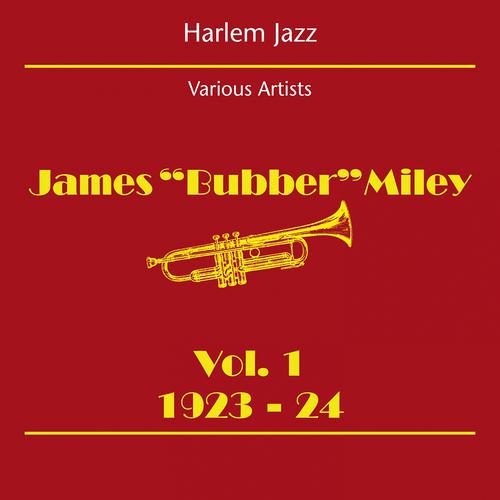 Постер альбома Harlem Jazz (James Bubber Miley Volume 1 1923-24)