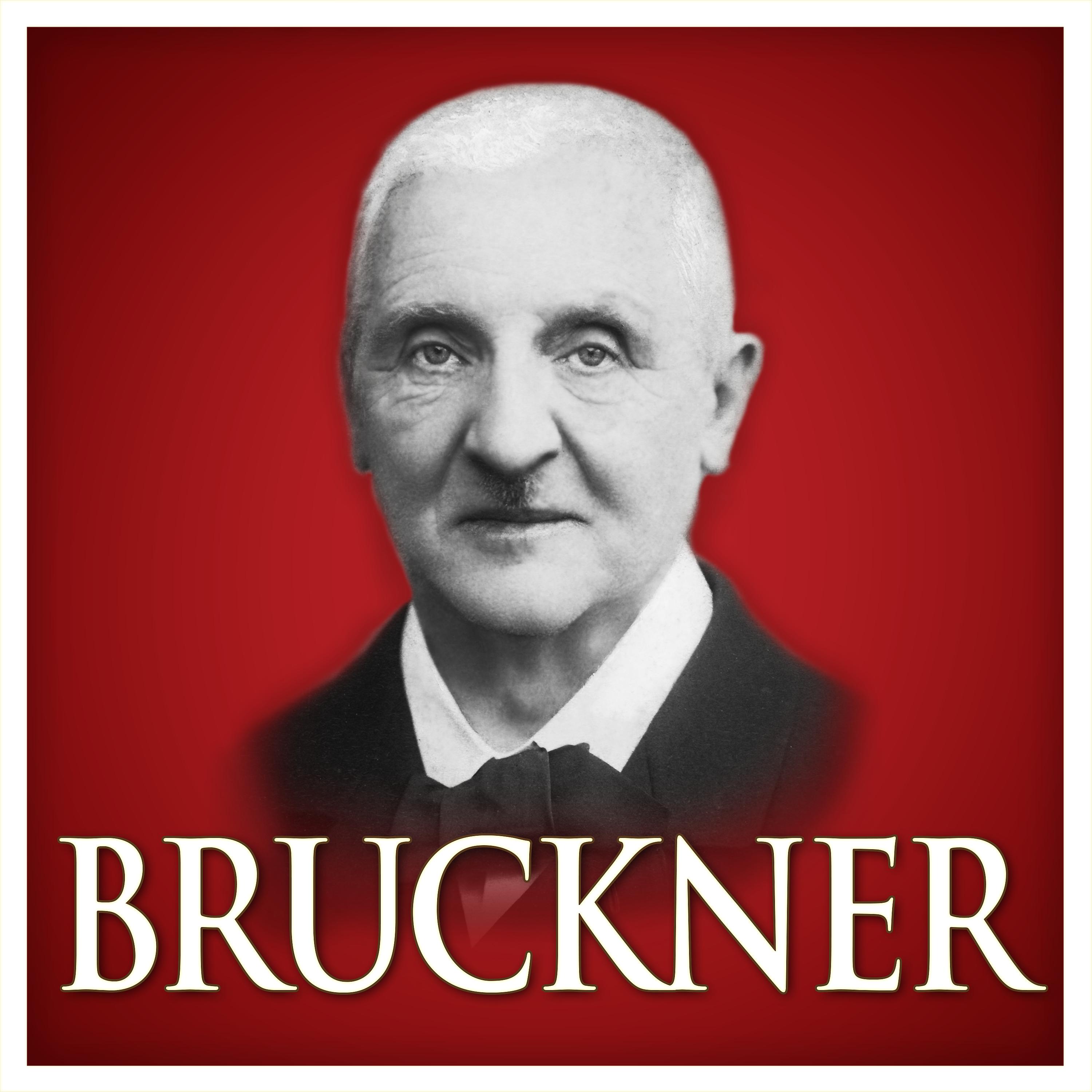 Постер альбома Bruckner (Red Classics)