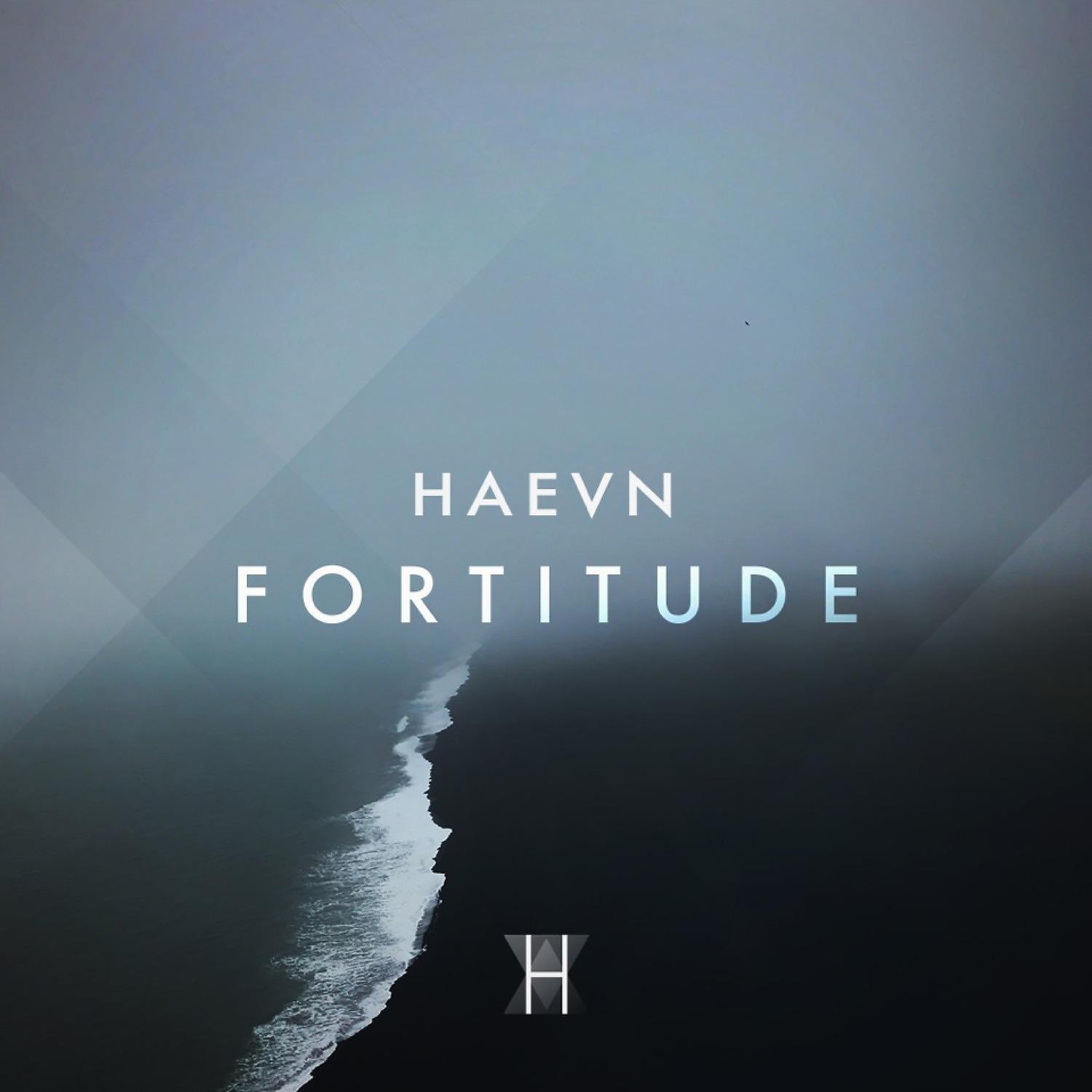 Постер альбома Fortitude