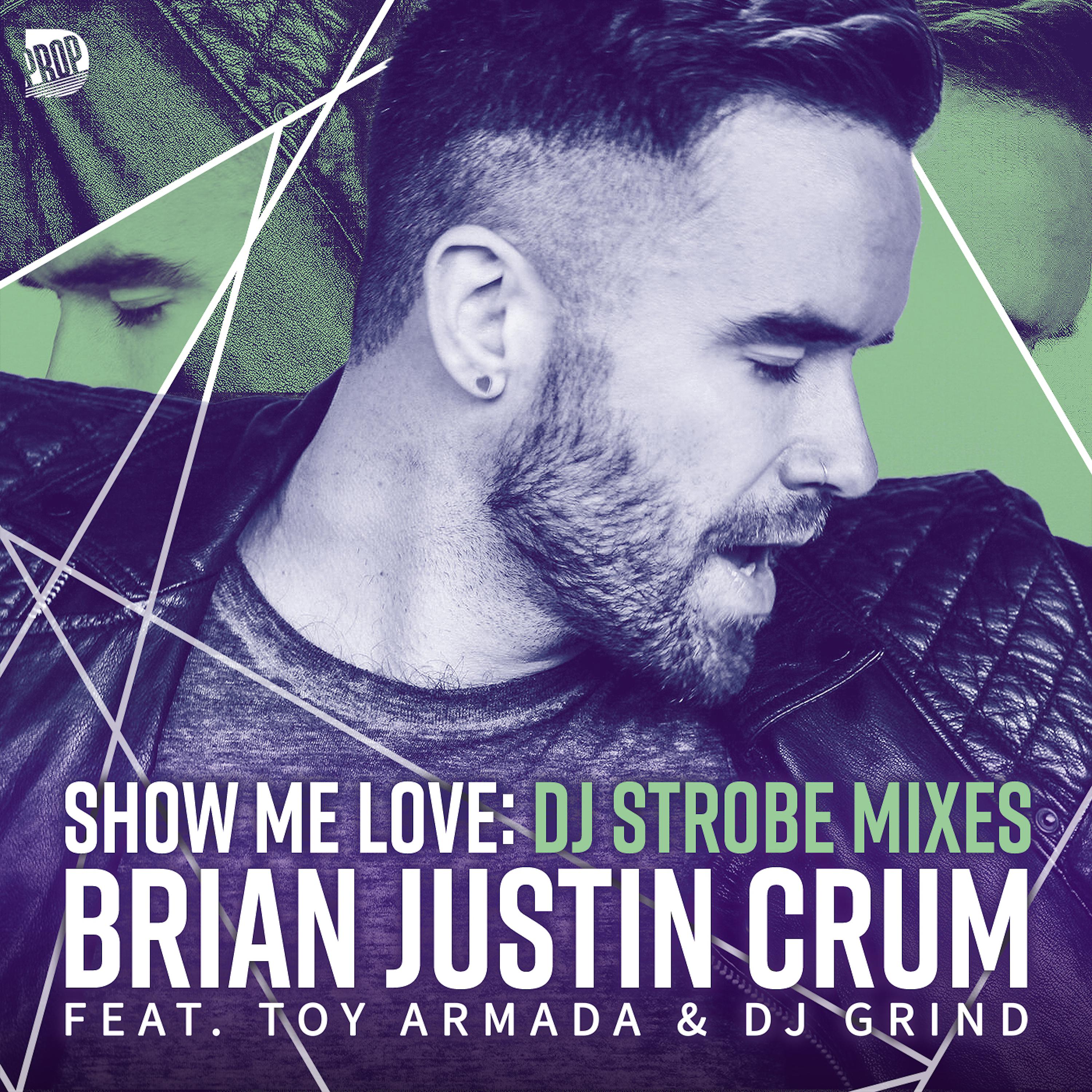Постер альбома Show Me Love (DJ Strobe Mixes)