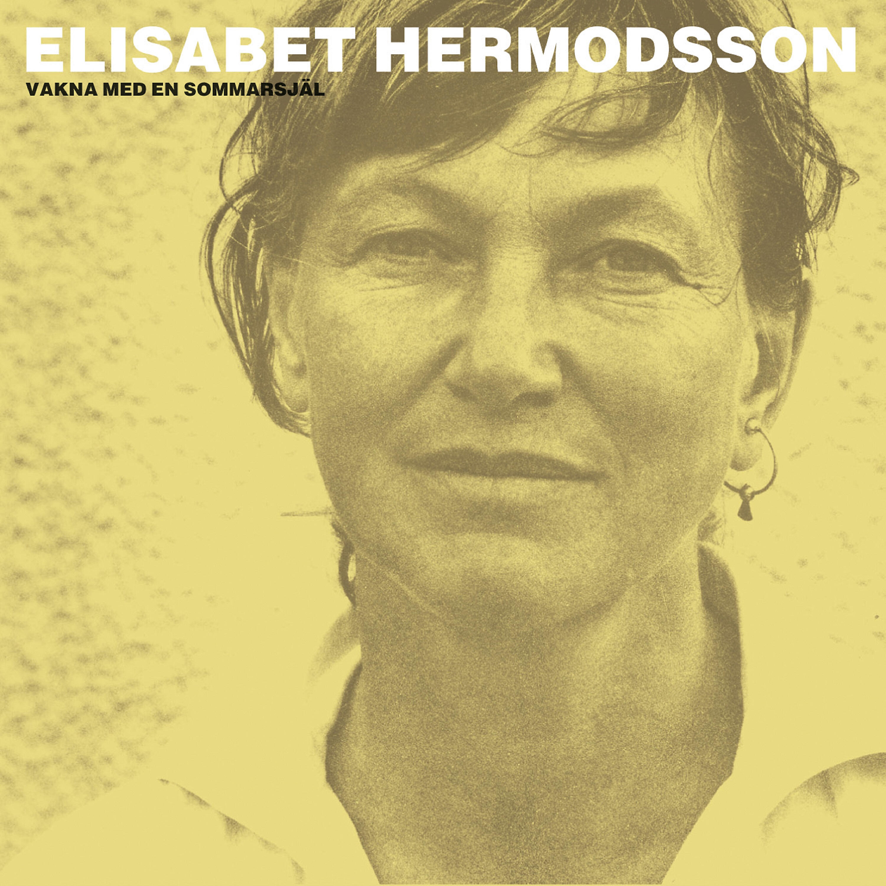 Elisabet Hermodsson - Vilda nätter