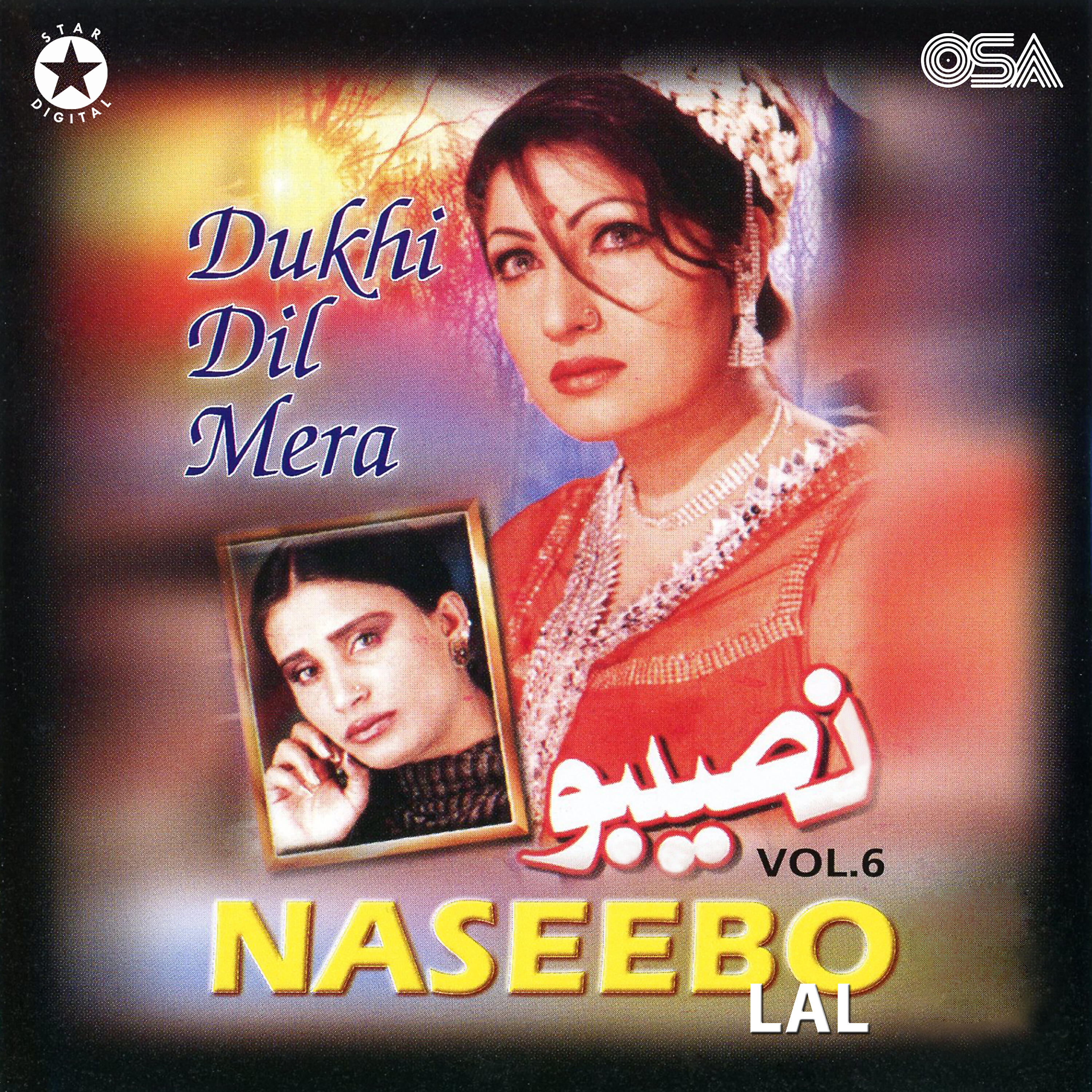 Naseebo Lal - O Rabba Dukhi Dil Mera