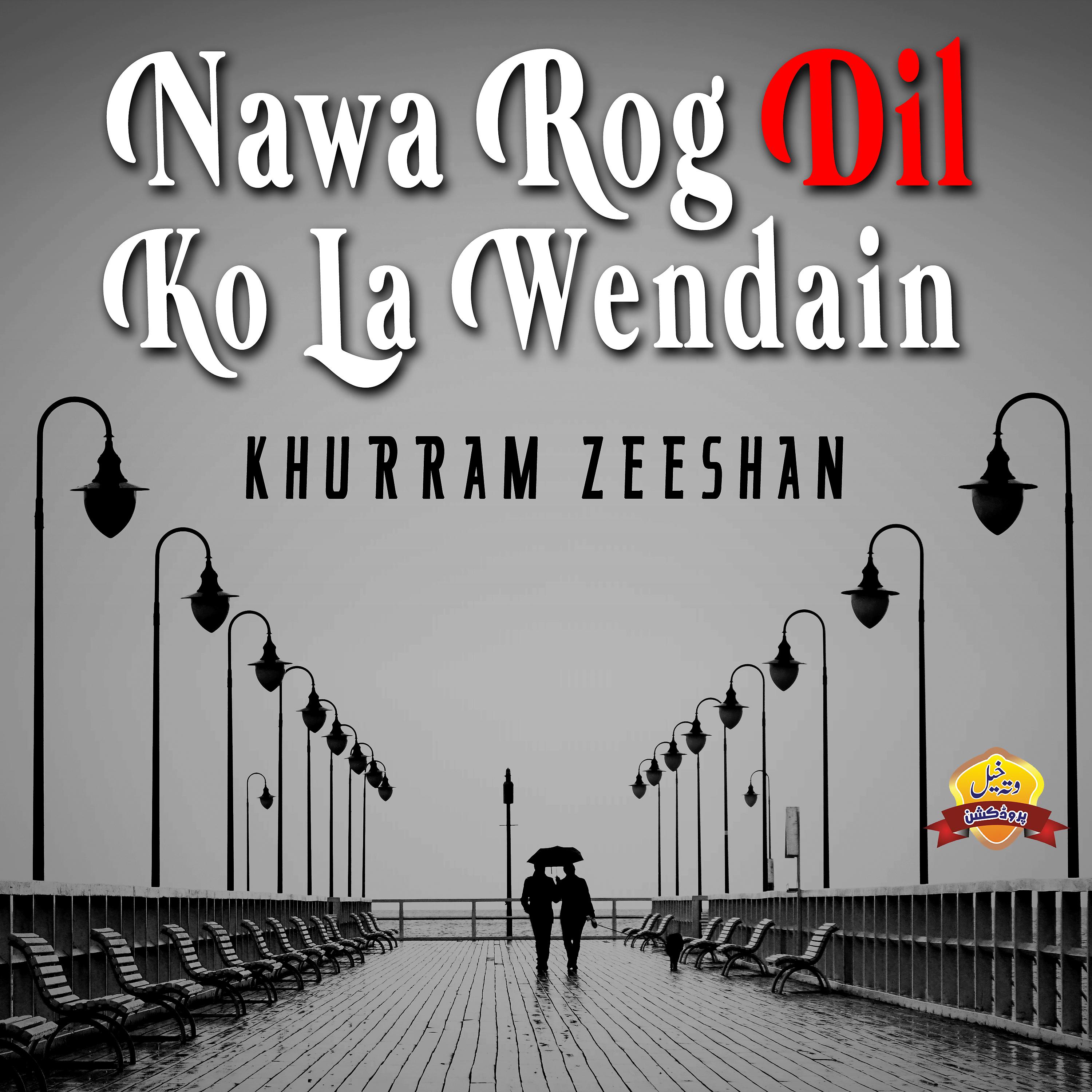 Постер альбома Nawa Rog Dil Ko La Wendain