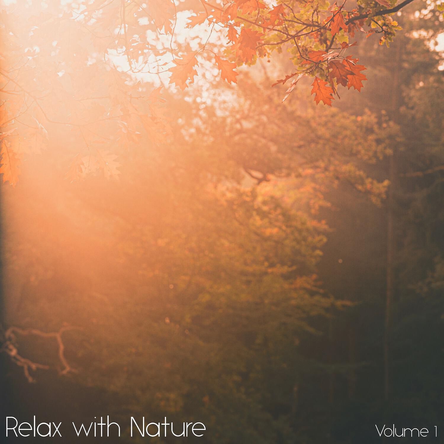 Sounds of Nature White Noise for Mindfulness Meditation and Relaxation - Chanting Birds