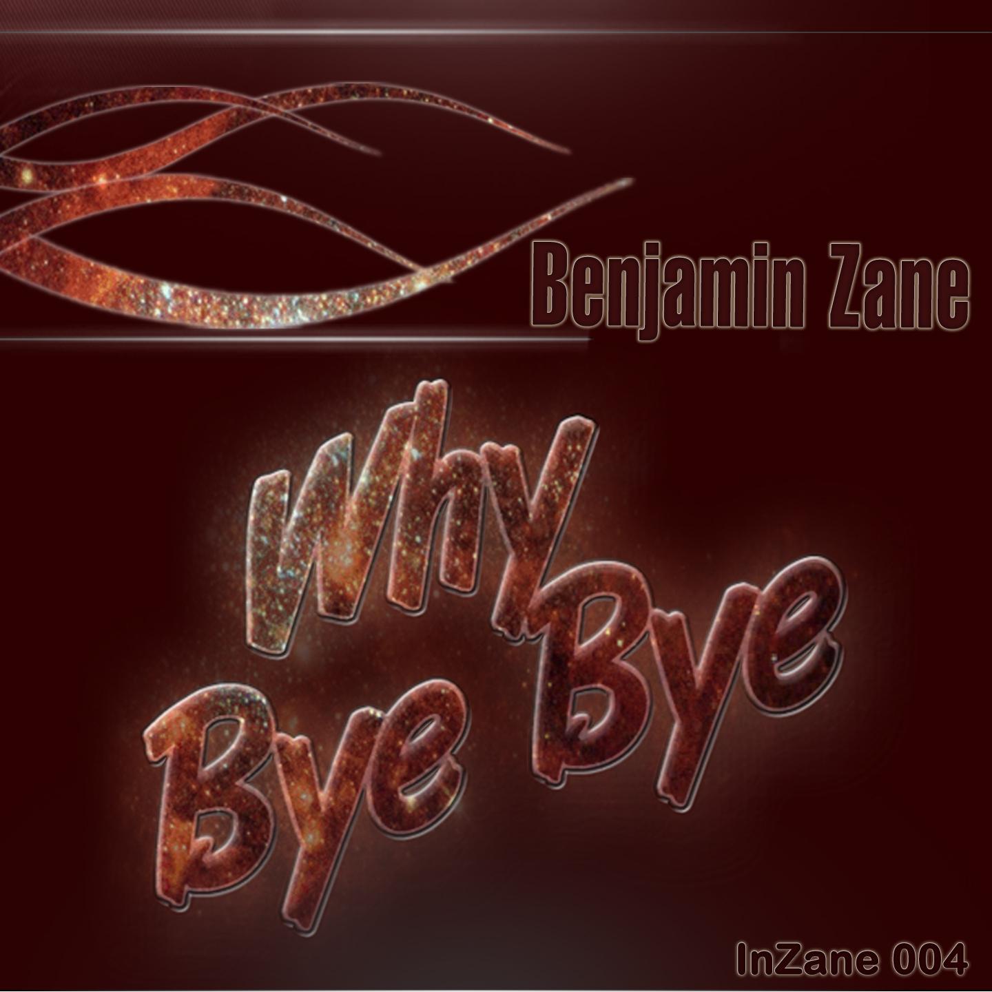 Постер альбома Why Bye Bye