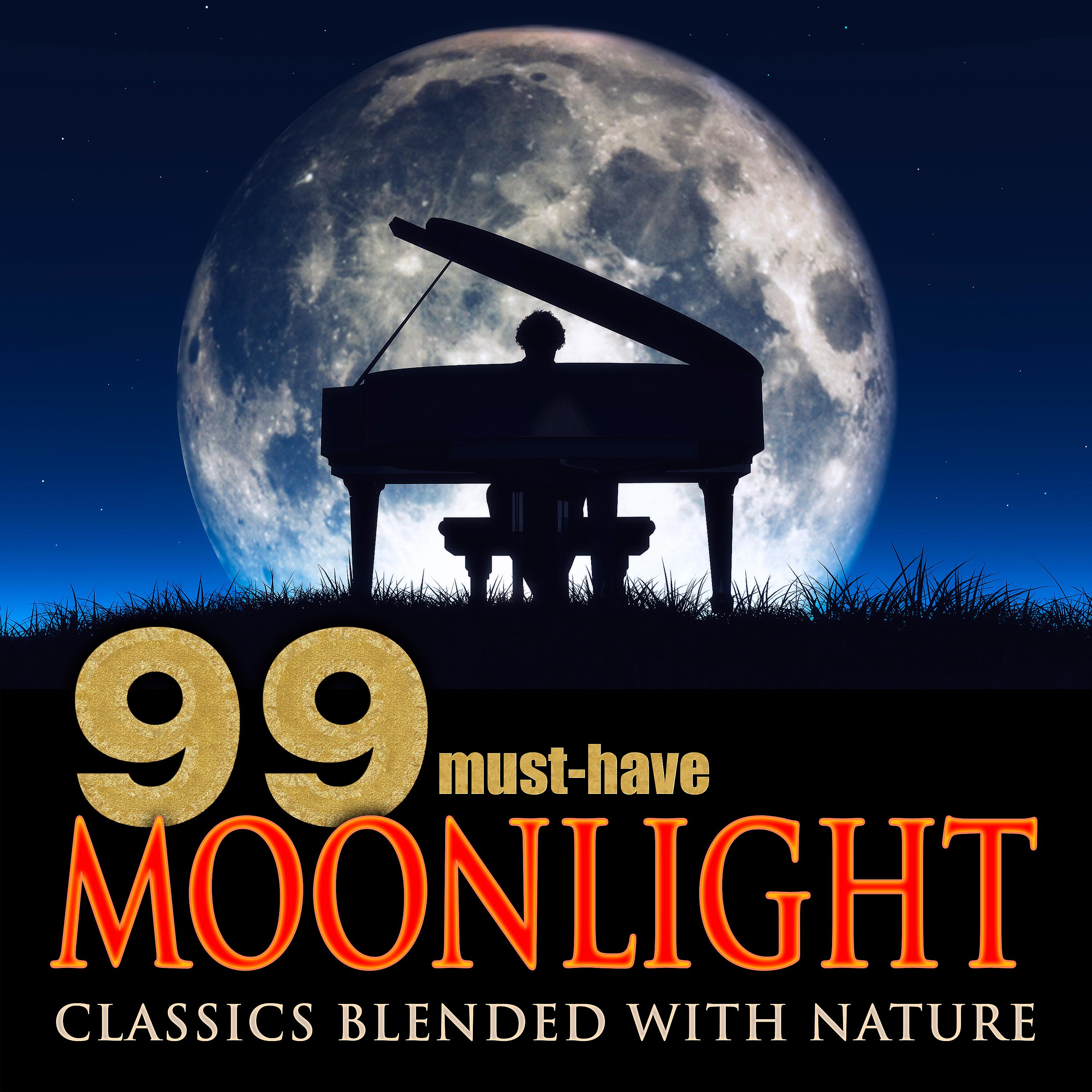 Постер альбома 99 Must-Have Moonlight Classics Blended with Nature