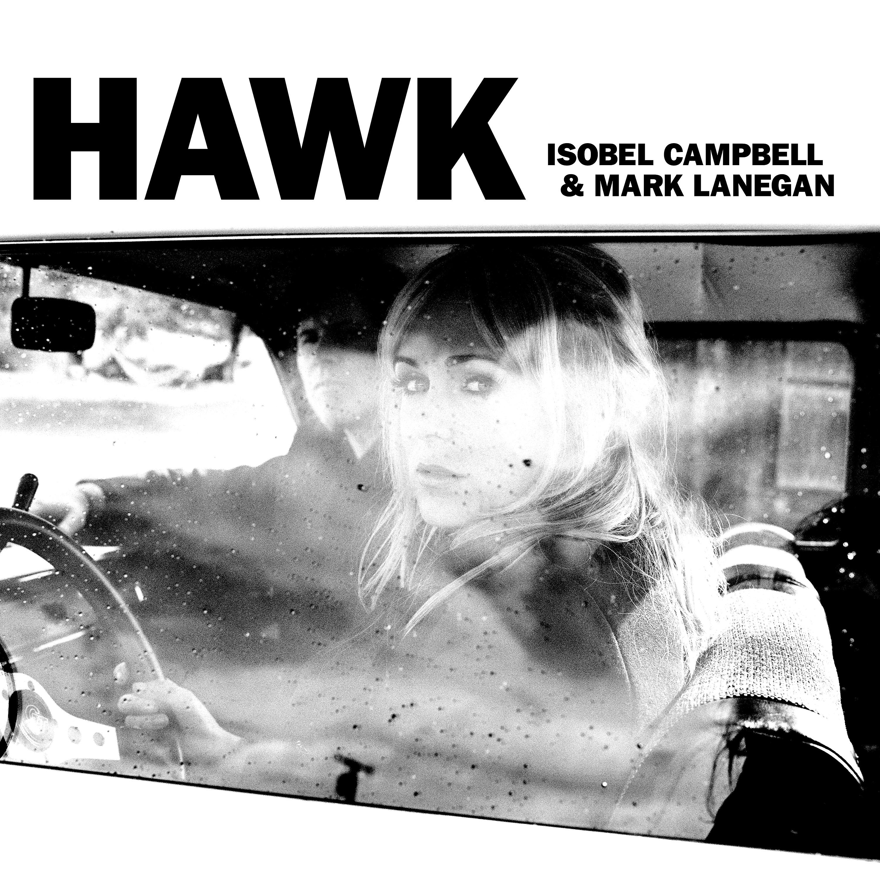 Постер альбома Hawk