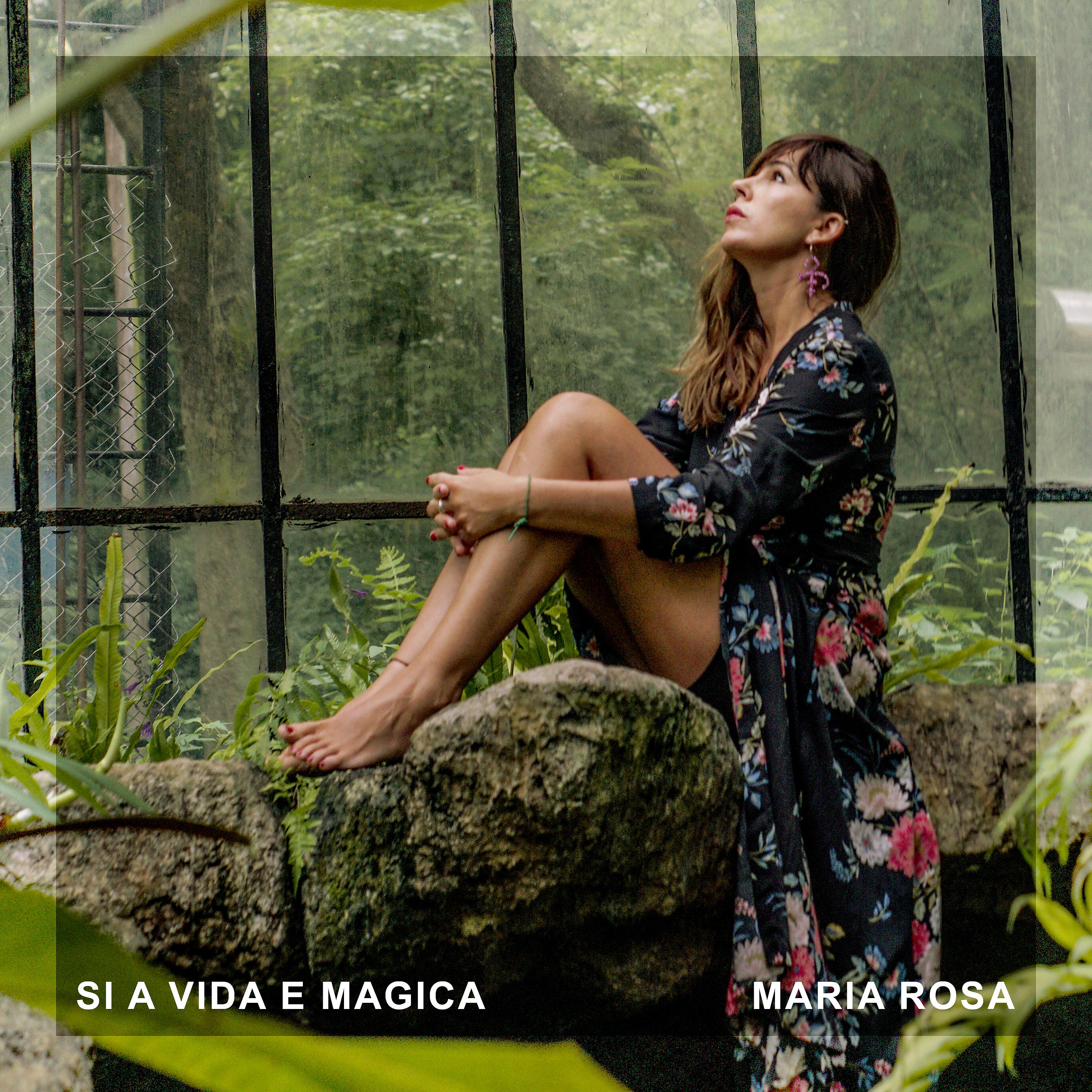 Постер альбома Si a Vida e Mágica