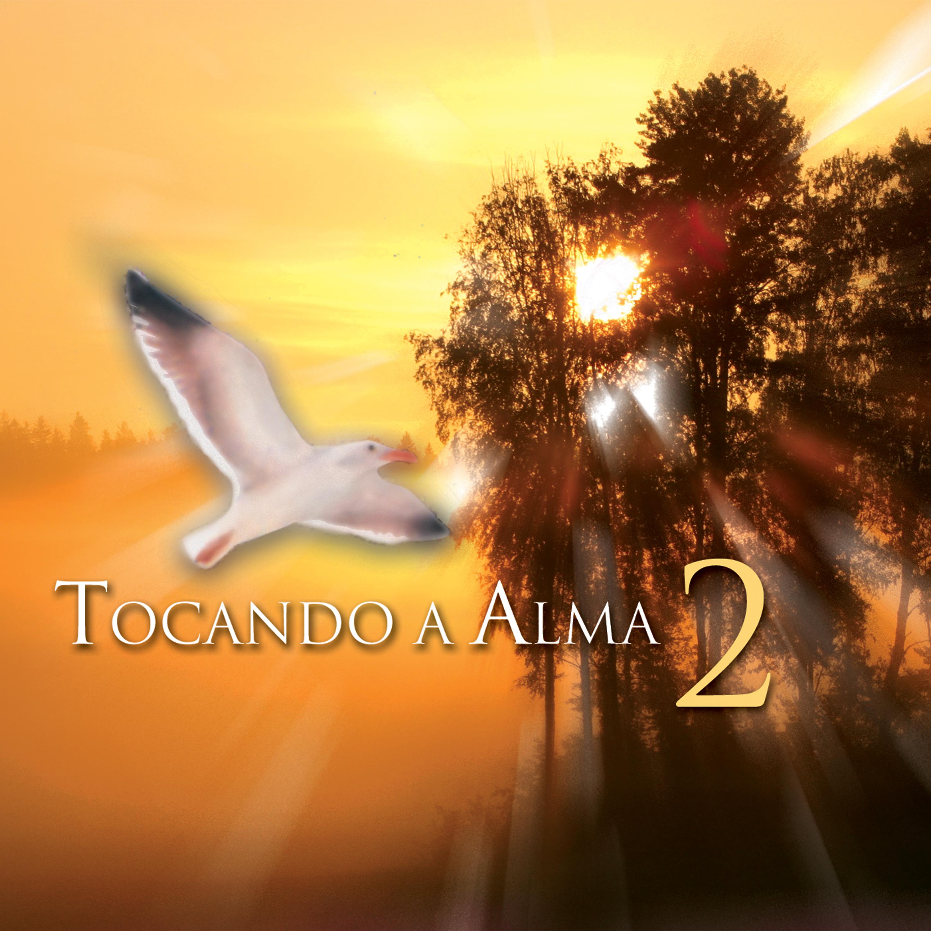 Постер альбома Tocando a Alma, Vol. 2