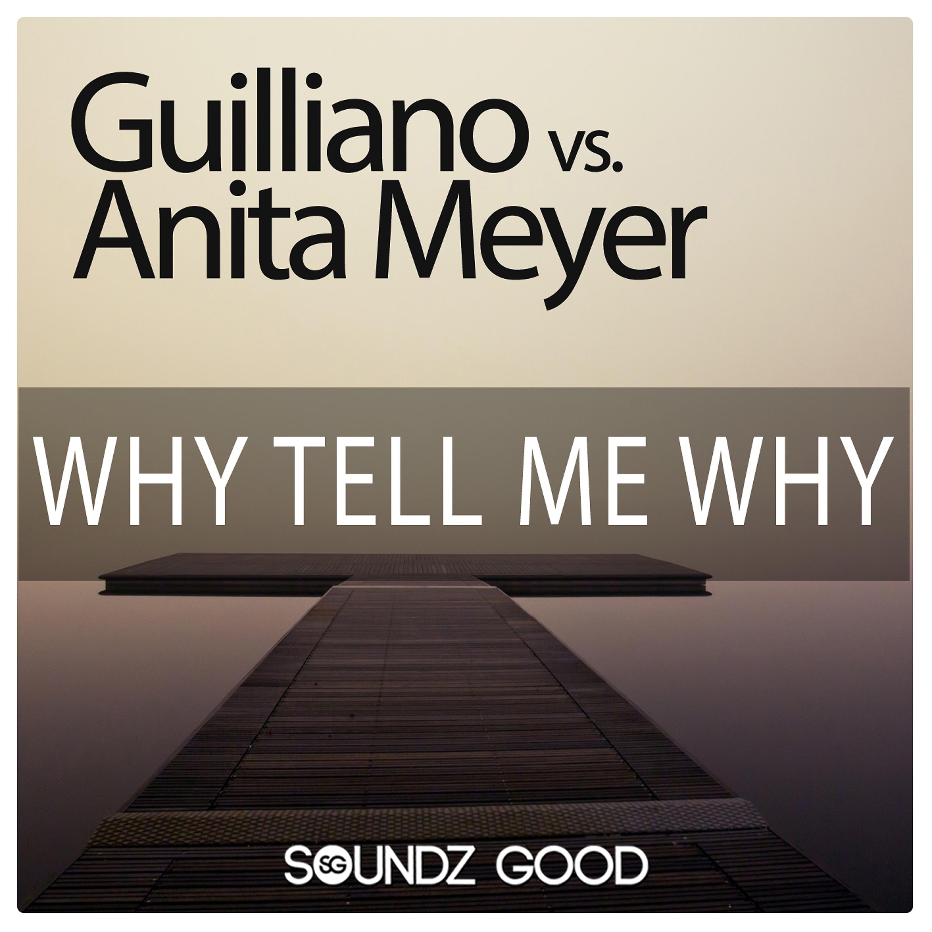 Постер альбома Why Tell Me Why (Guilliano vs. Anita Meyer)