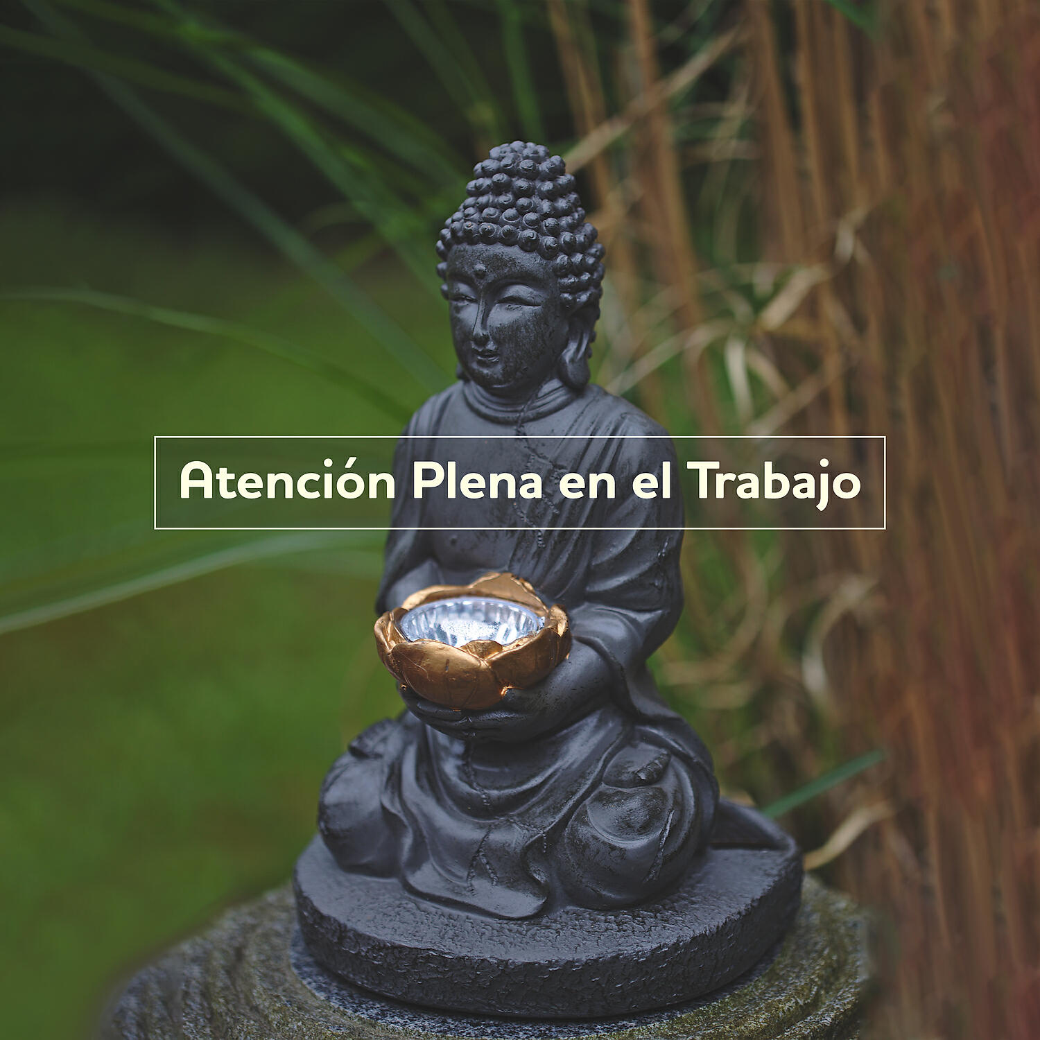 Academia de Música Mantras Budistas - Técnica de Respiracion