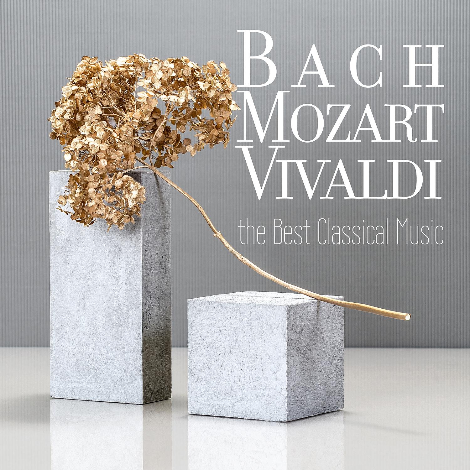 Постер альбома Bach, Mozart, Vivaldi - the Best Classical Music