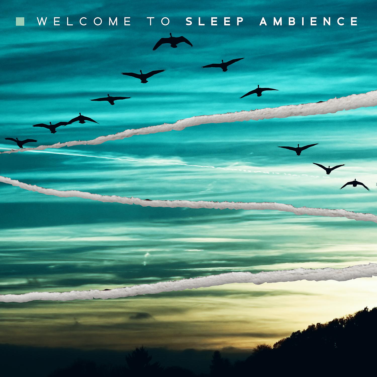 Постер альбома Welcome to Sleep Ambience