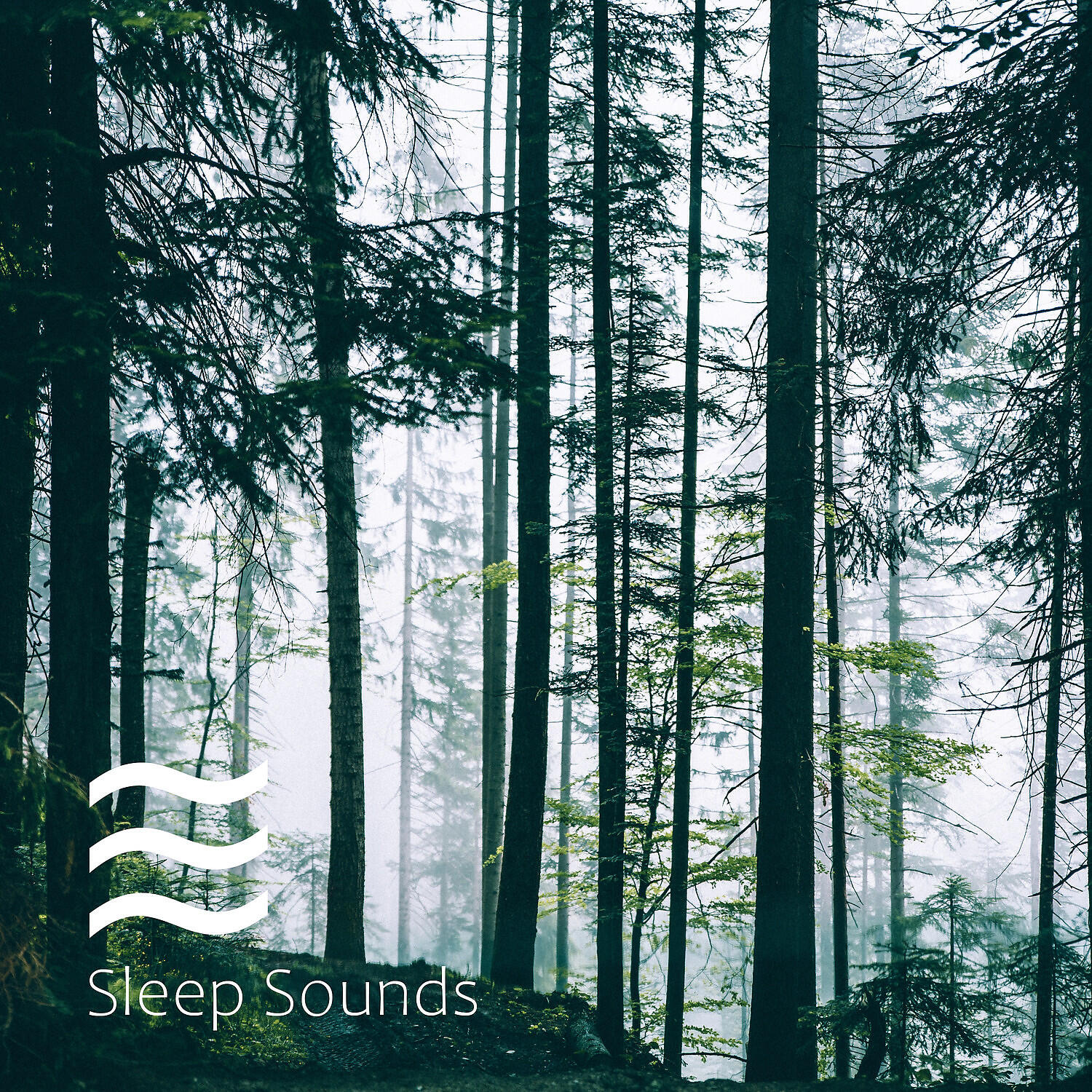 Noise Shushers for Infants - Pacifying noise for fast sleep