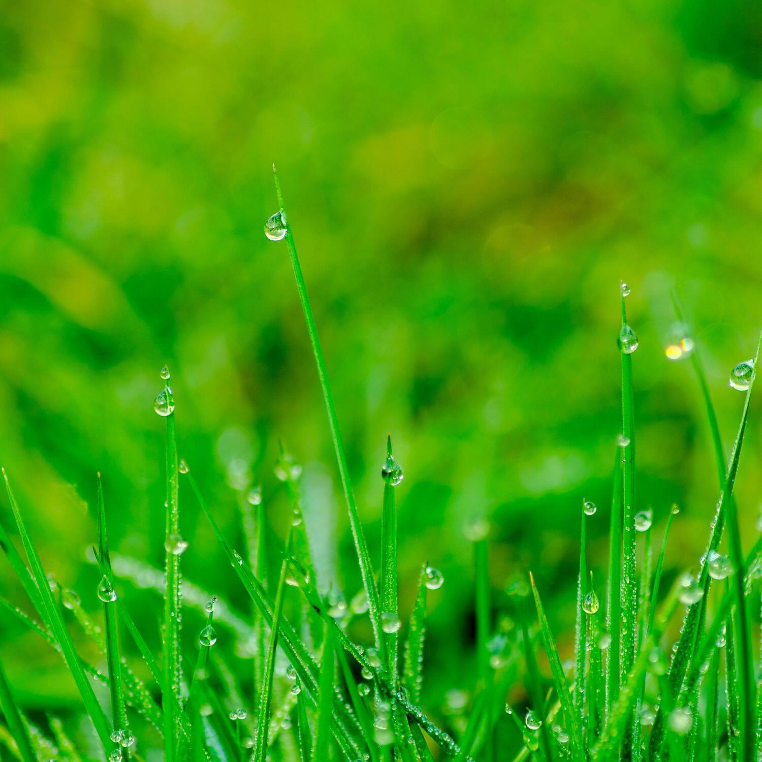 Soothing Shusher White Noises - Mellow Soft White Sound Noise