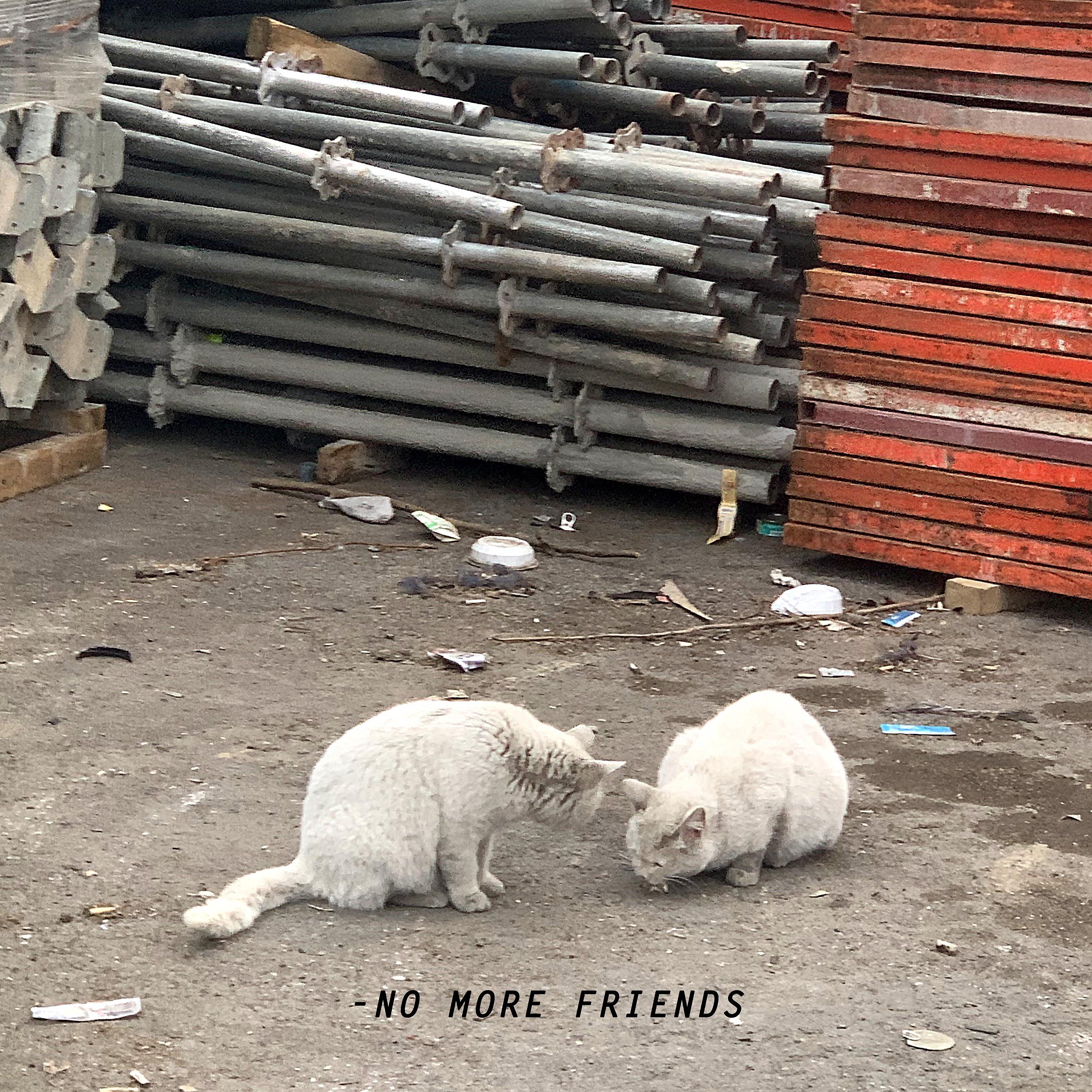 Постер альбома No More Friends (feat. Kid Milli)