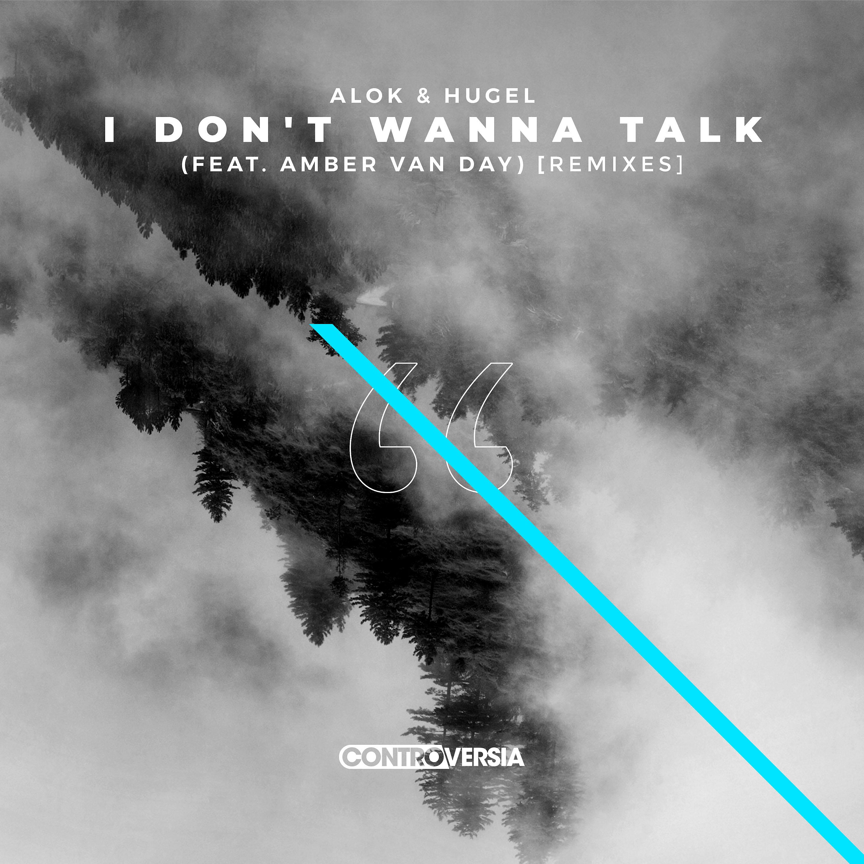 Постер альбома I Don't Wanna Talk (feat. Amber Van Day) [Remixes]
