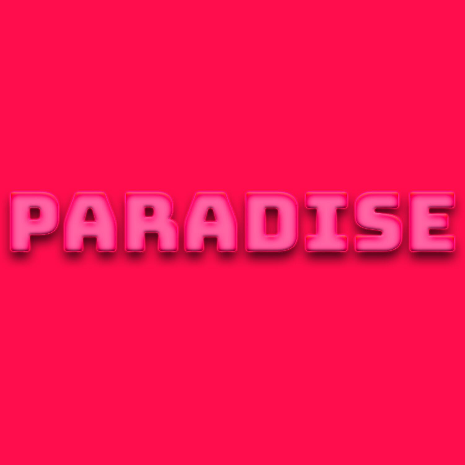DJ Mixer Man - Paradise