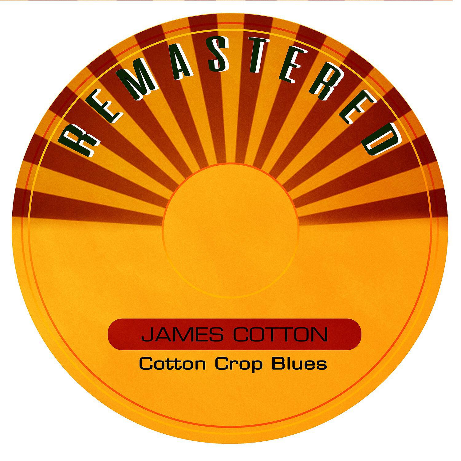 James Cotton - Cotton Crop Blues (Remastered)