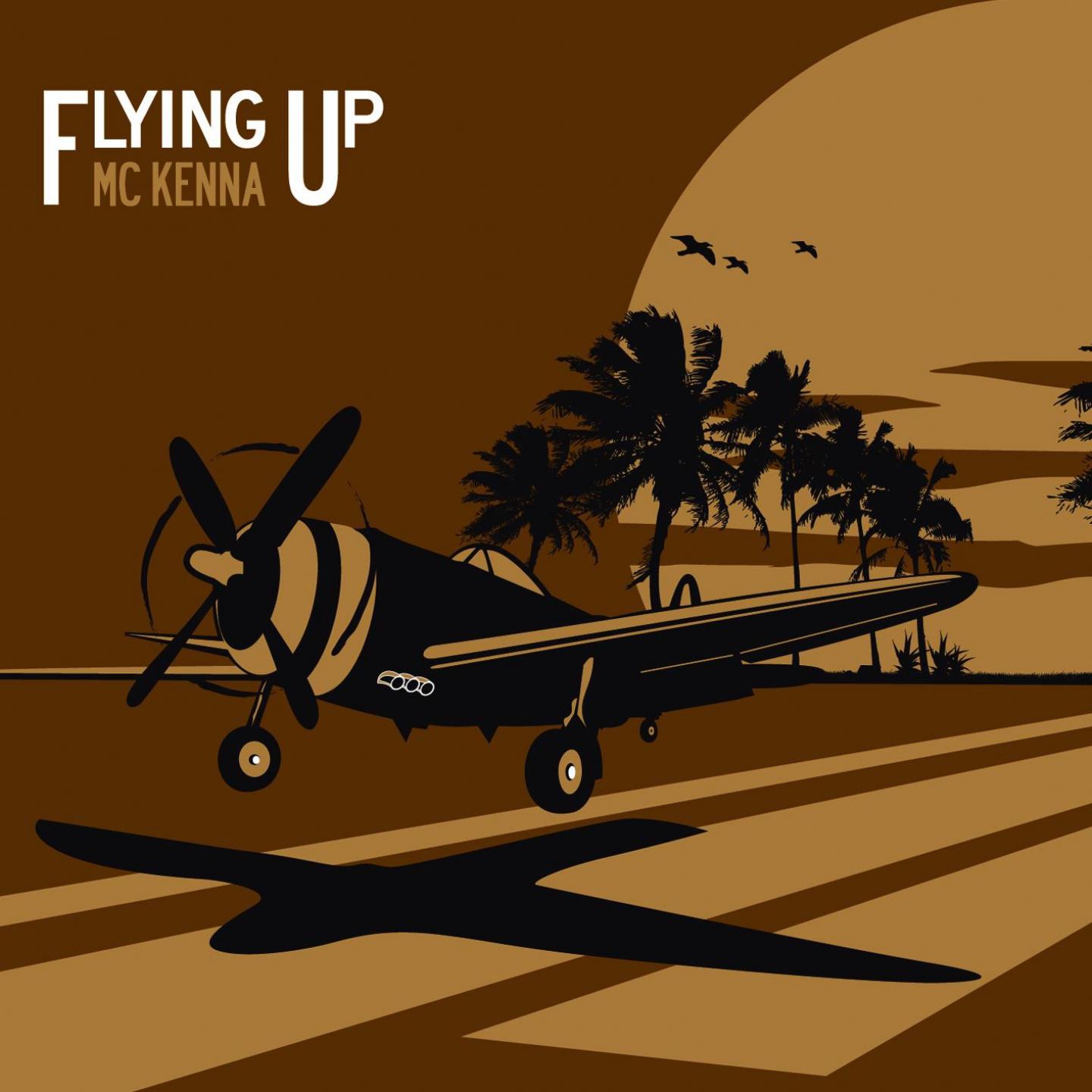 Постер альбома Flying Up
