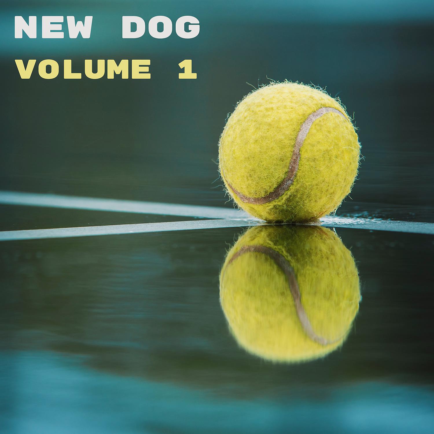 Постер альбома New Dog, Vol. 1
