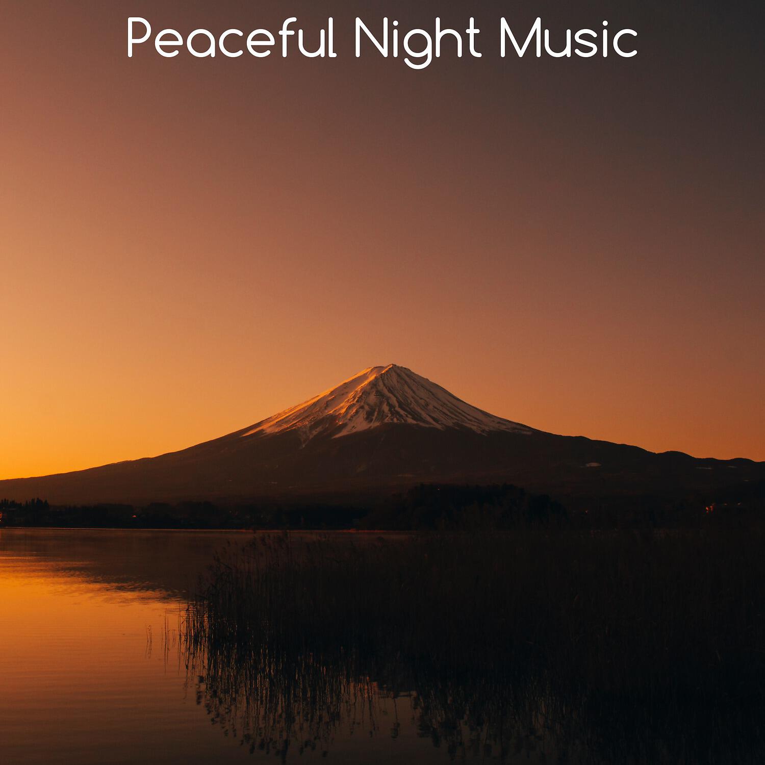 Deep Sleep Music Maestro - Soul Elevation