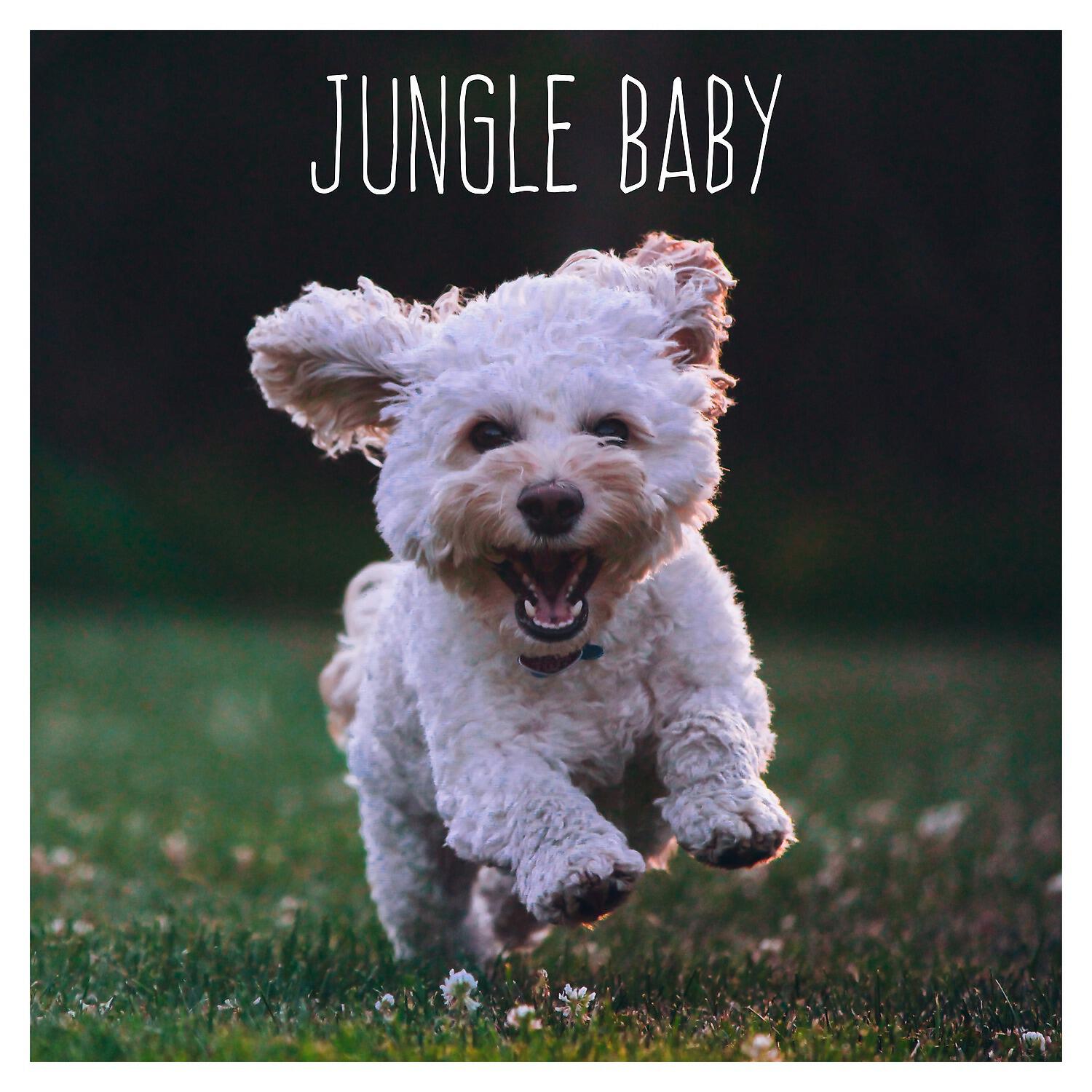 Active Baby Music Workshop - Embracing Your Soul