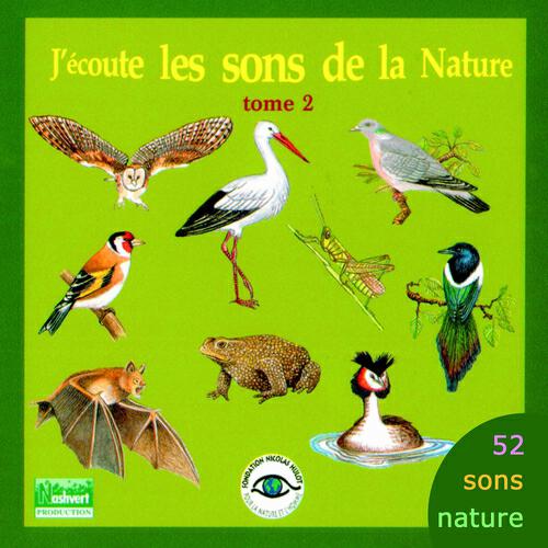 Chiff-Chaff - Le serin cini