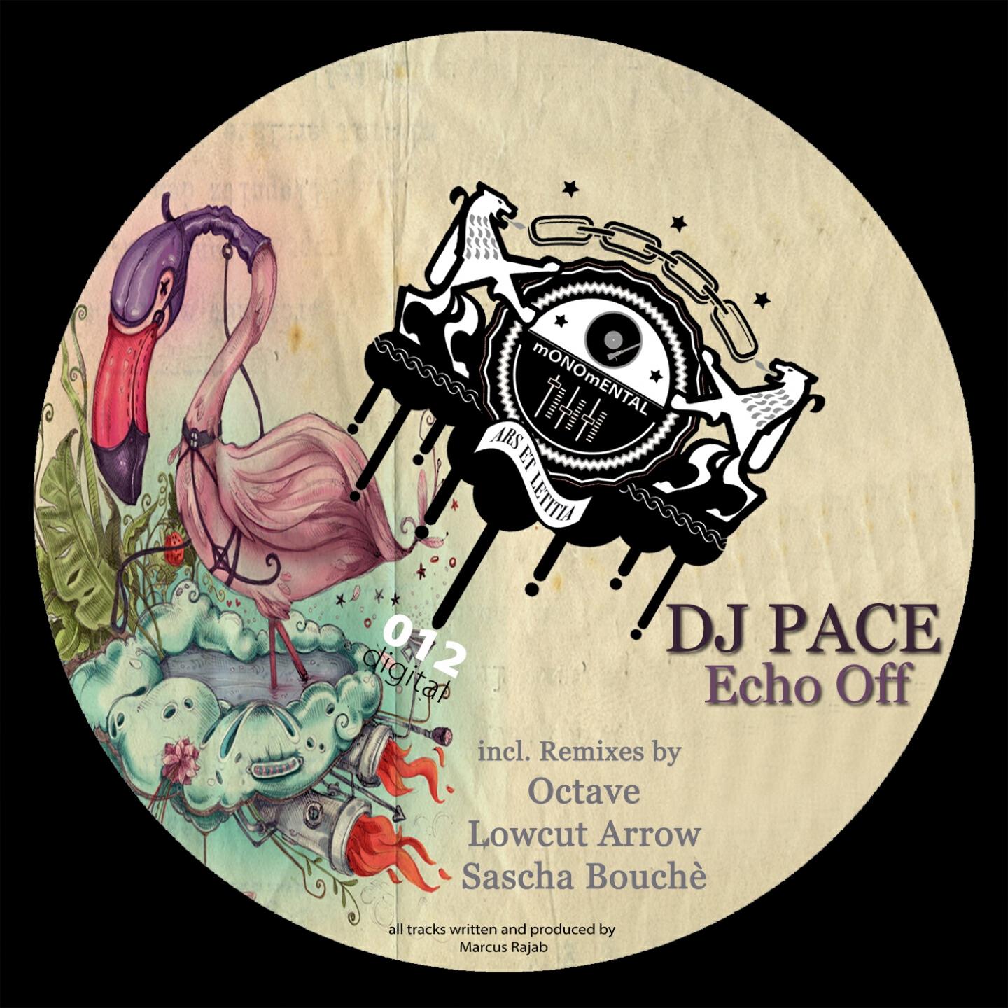 DJ Pace - Echo Off (Sascha Bouche's 8Bit Remix)
