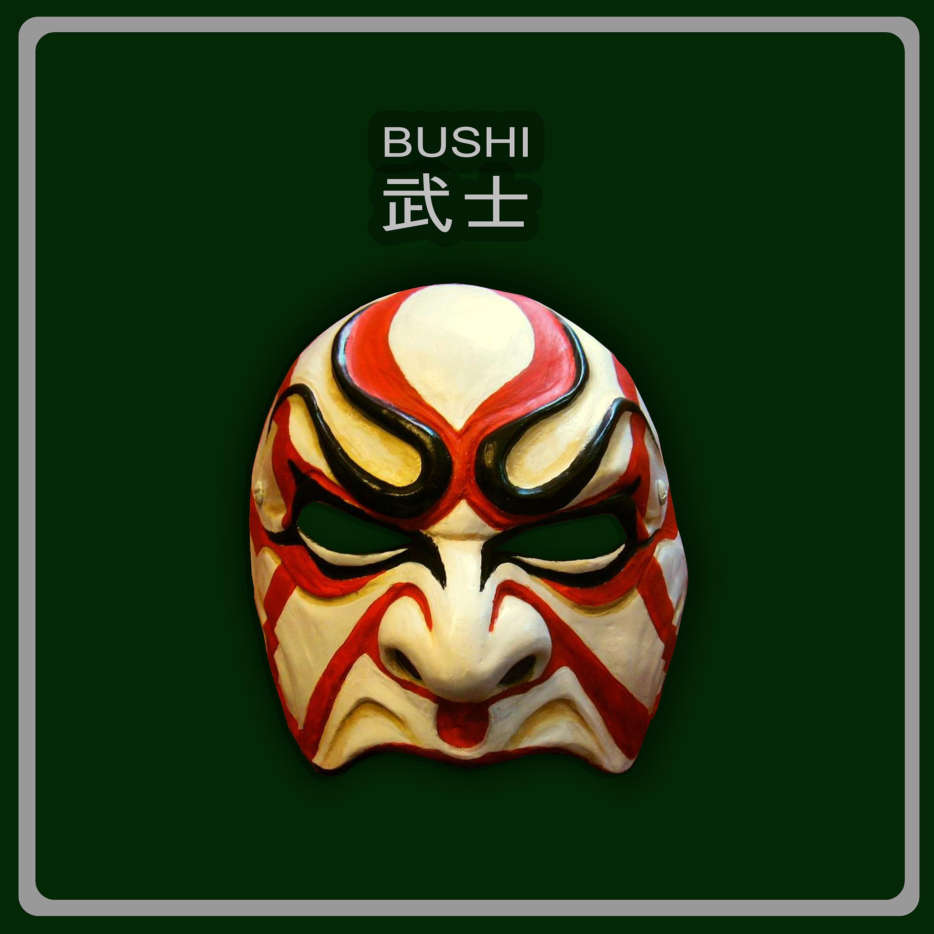 Постер альбома Bushi