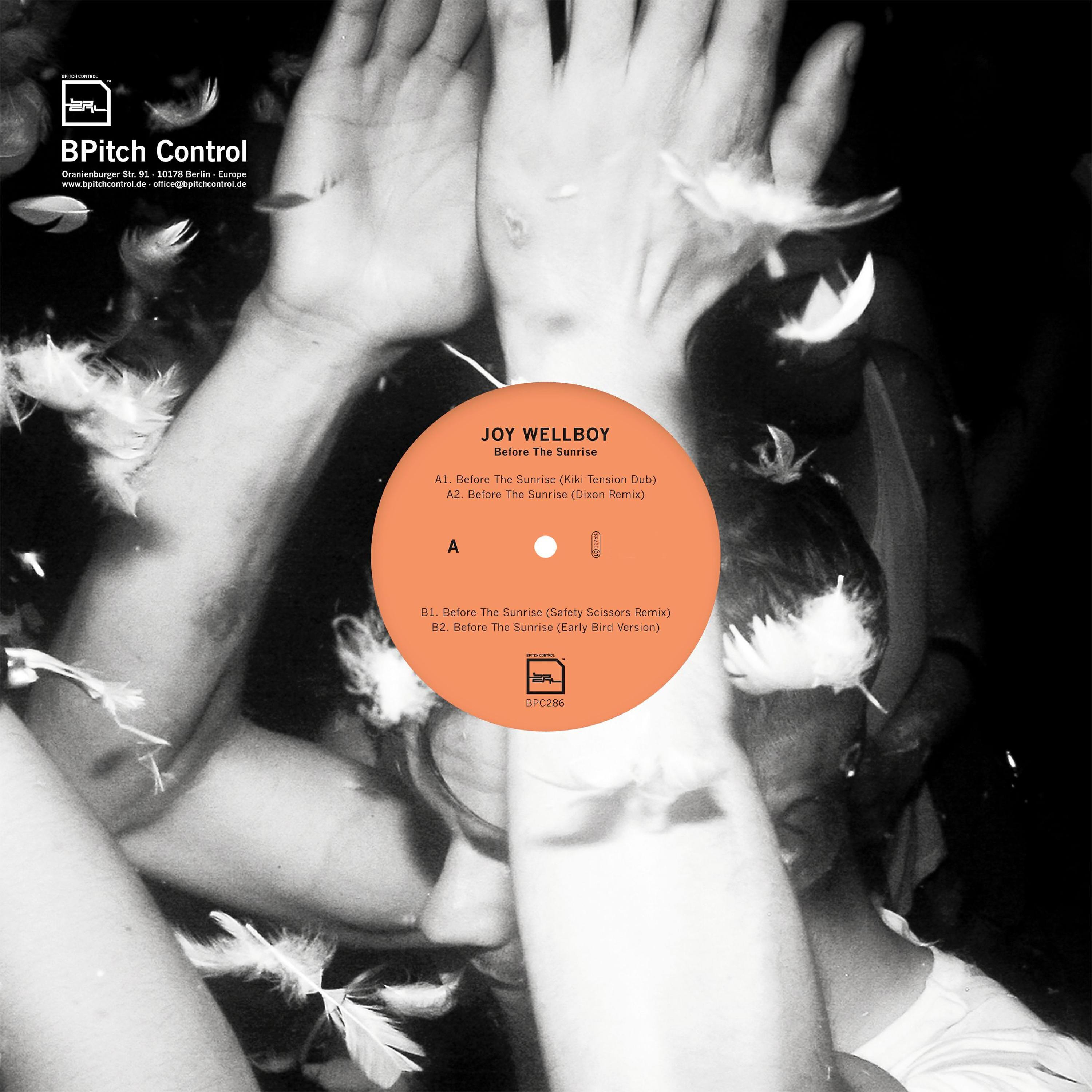 Joy Wellboy - Birds