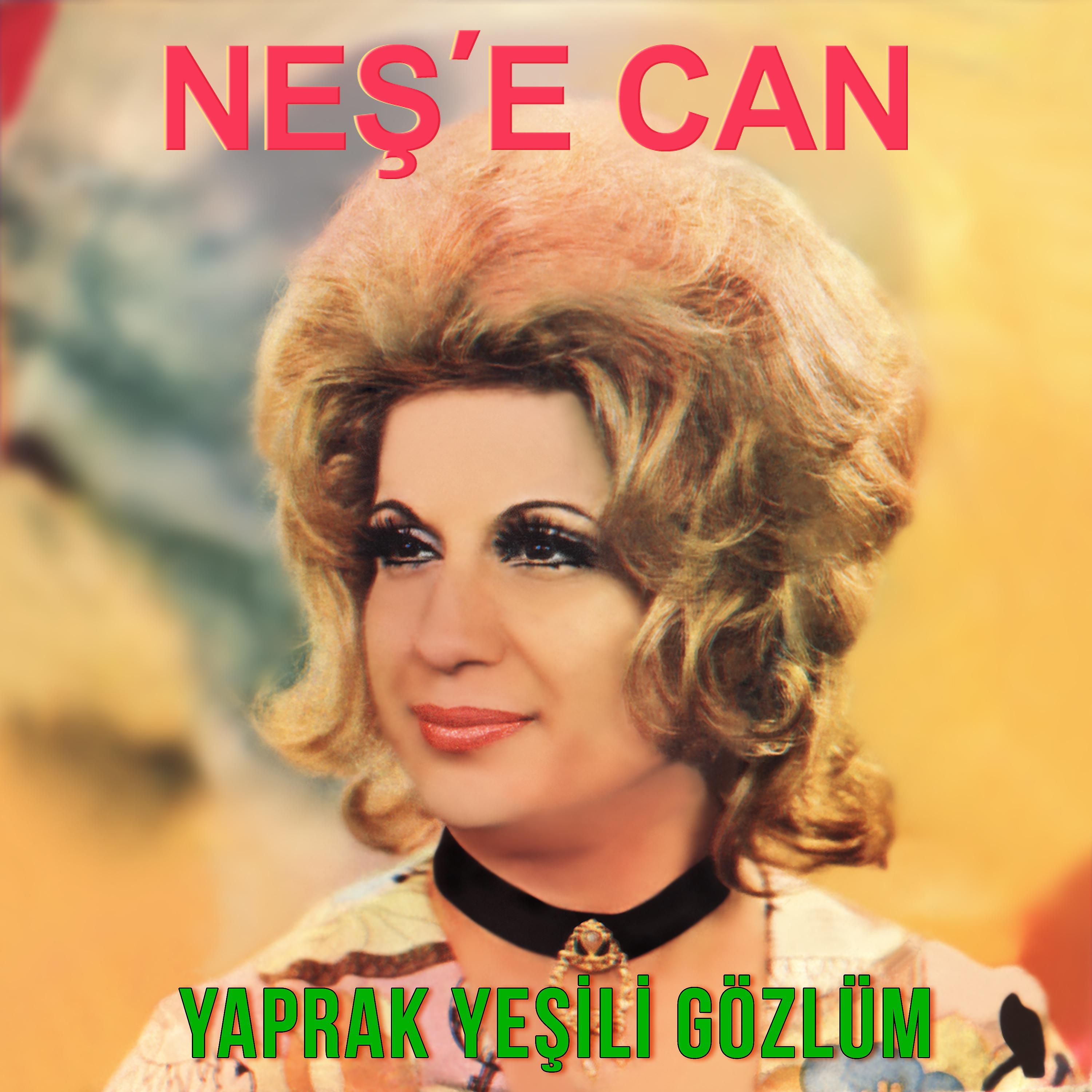 Постер альбома Yaprak Yeşili Gözlüm