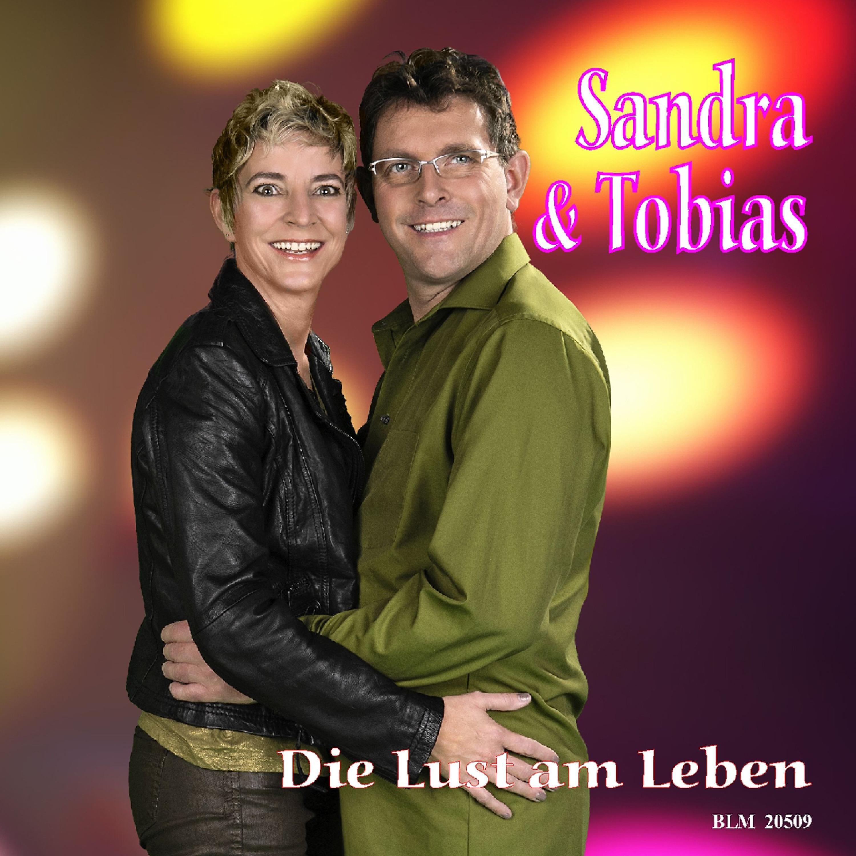 Постер альбома Die Lust am Leben