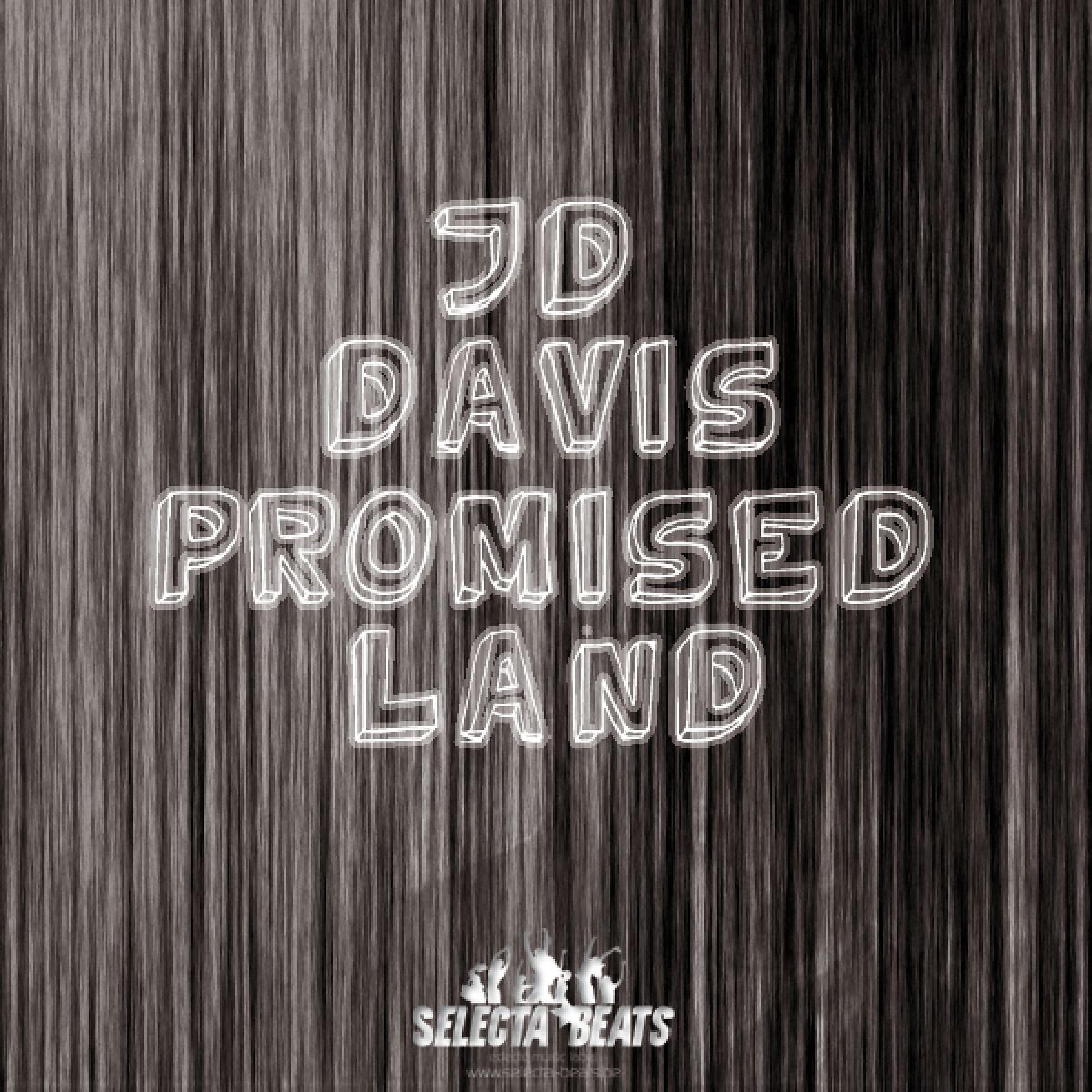 Постер альбома Promised Land 2010