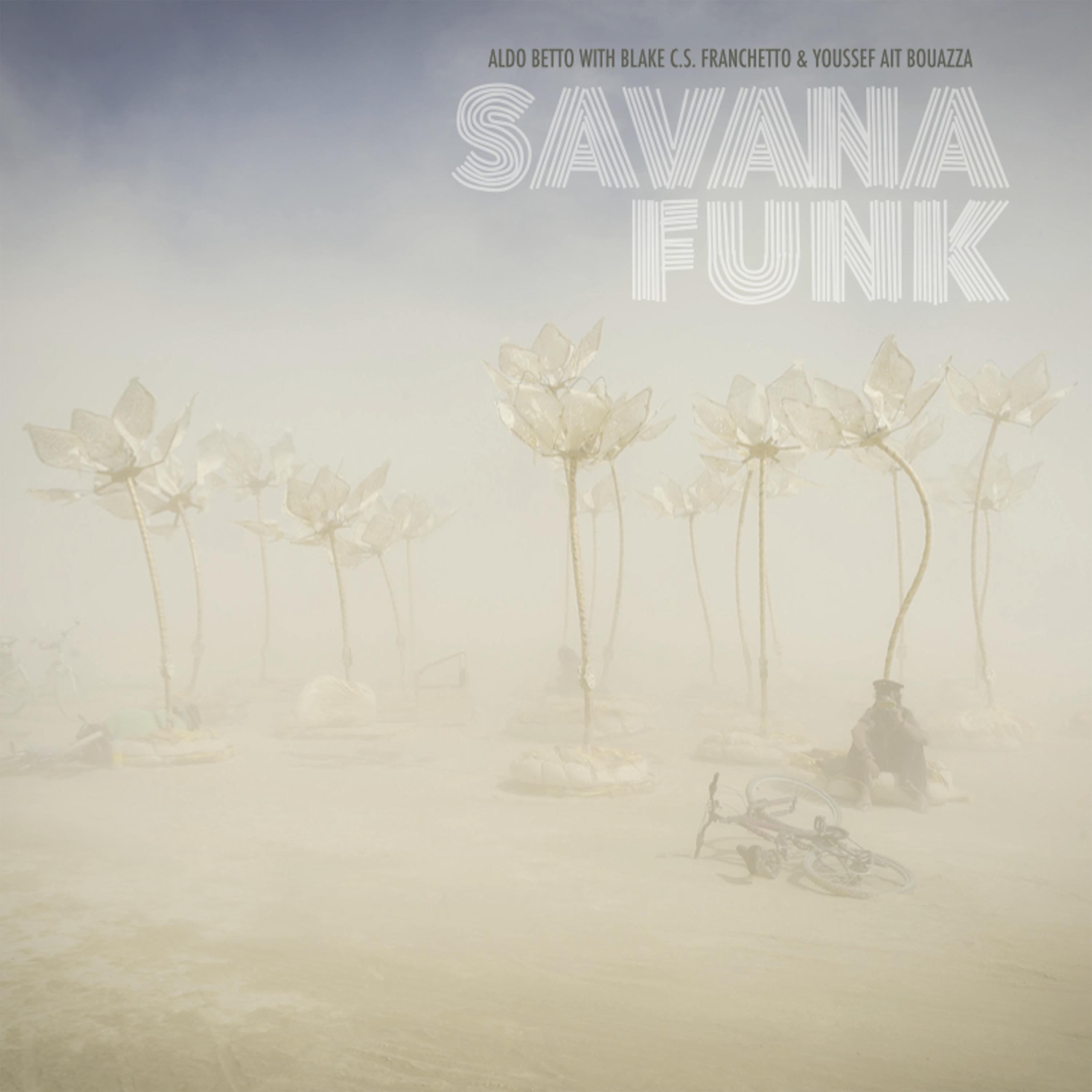 Постер альбома Savana Funk